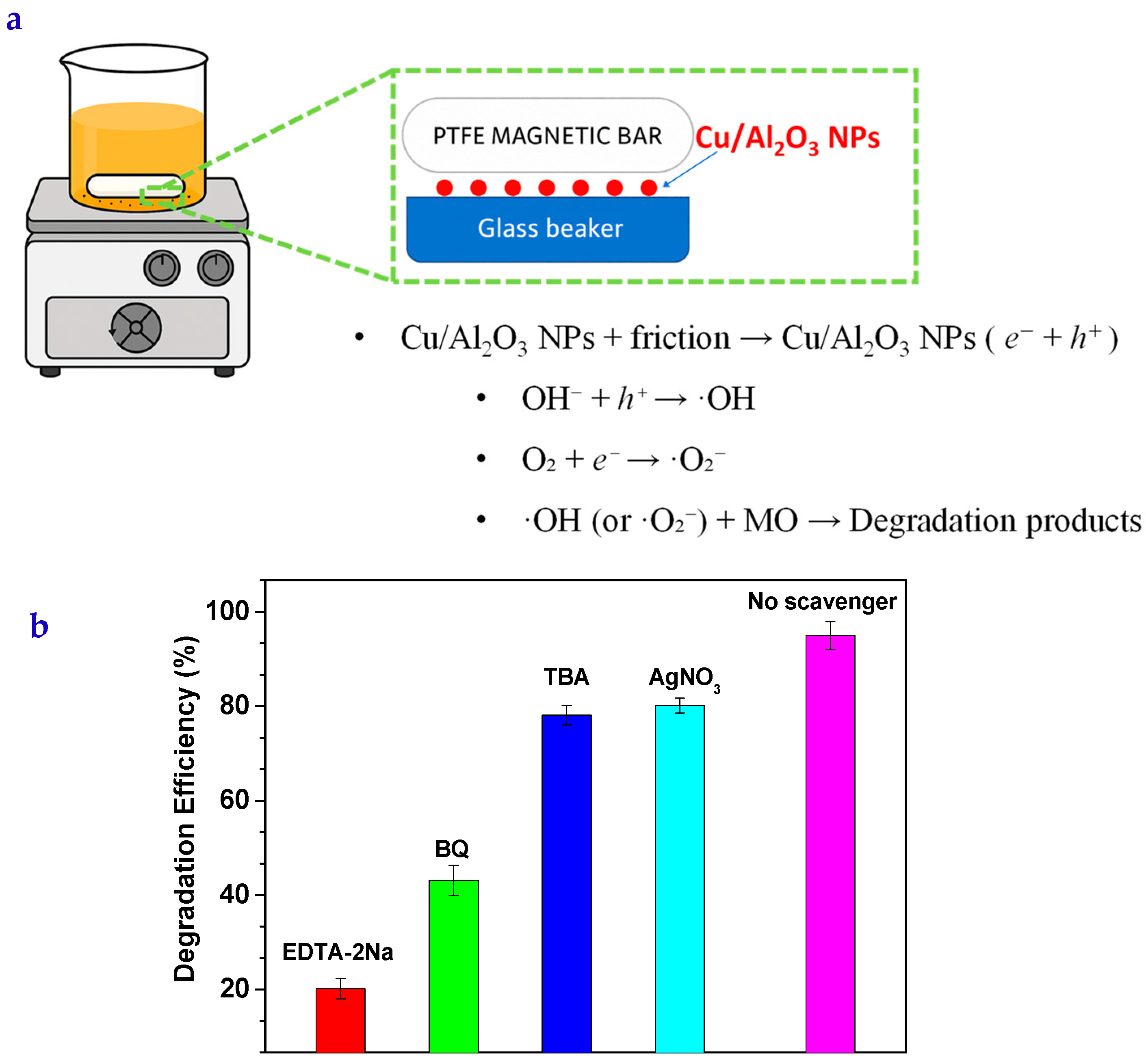 Lubricants 13 00418 g007