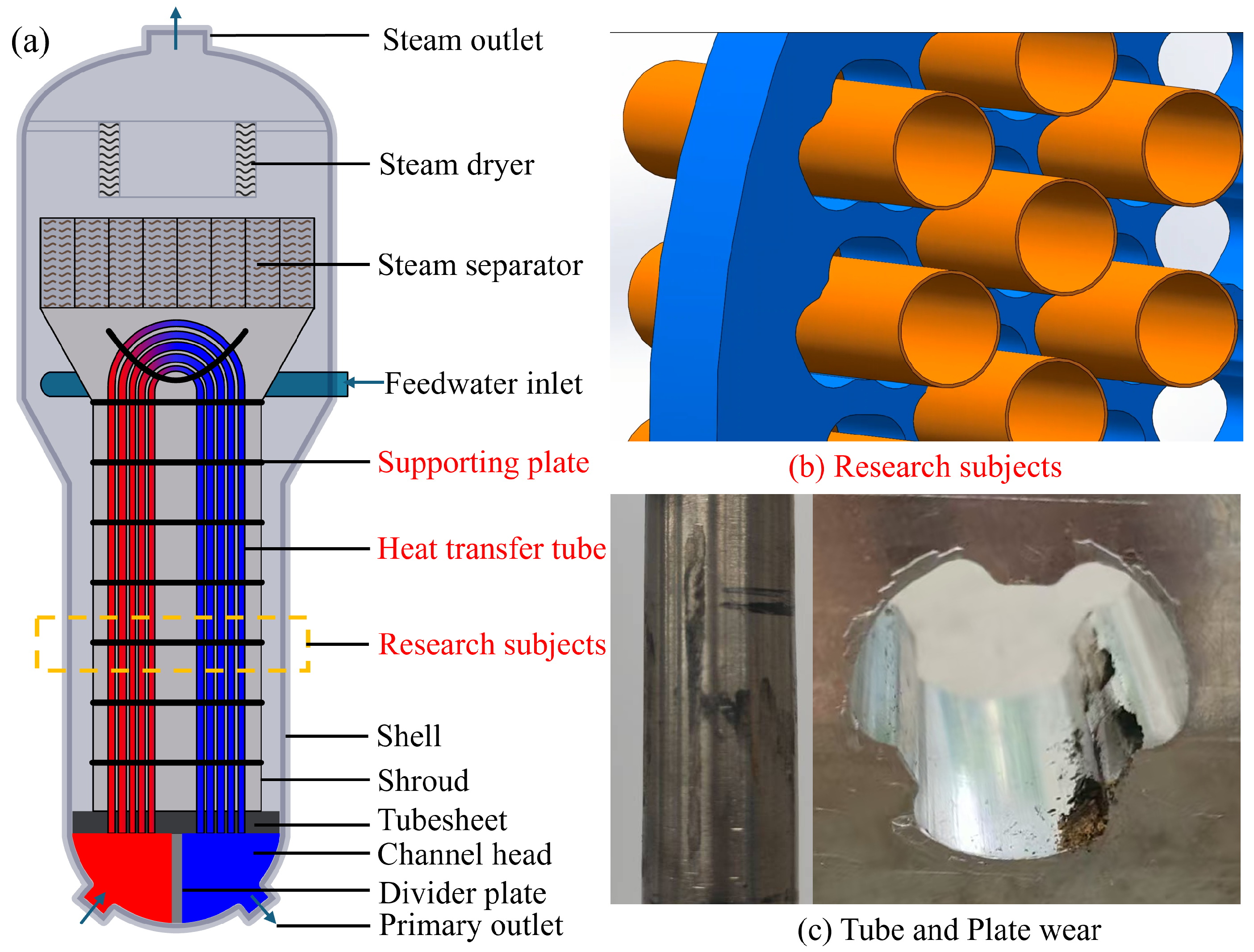 Lubricants 13 00421 g001