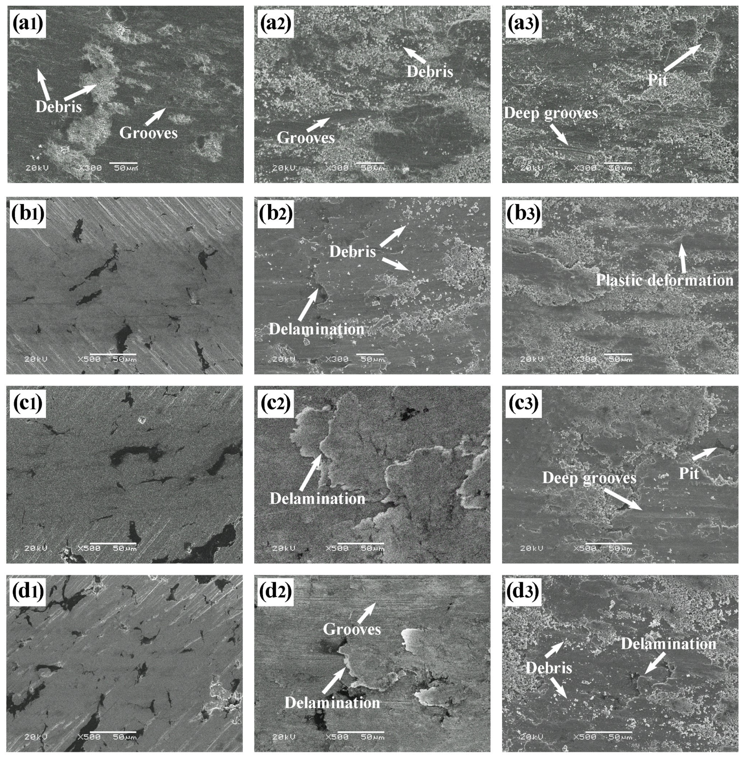 Lubricants 13 00428 g007