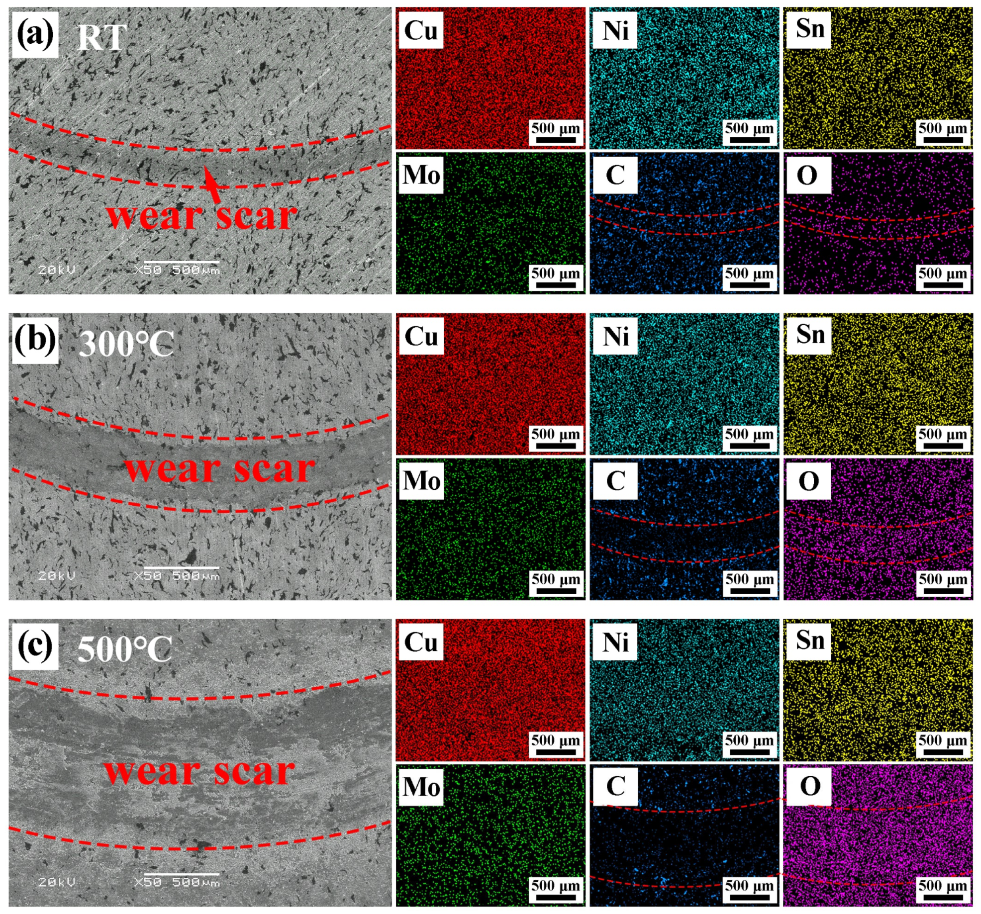 Lubricants 13 00428 g008