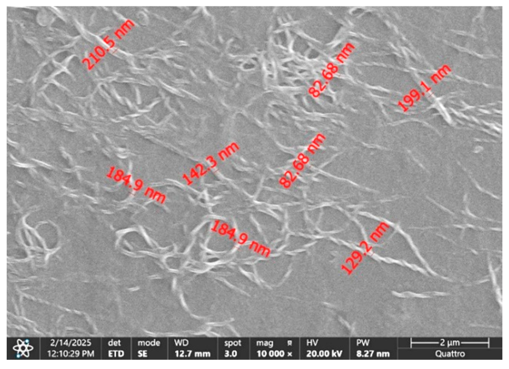 Lubricants 13 00429 g014