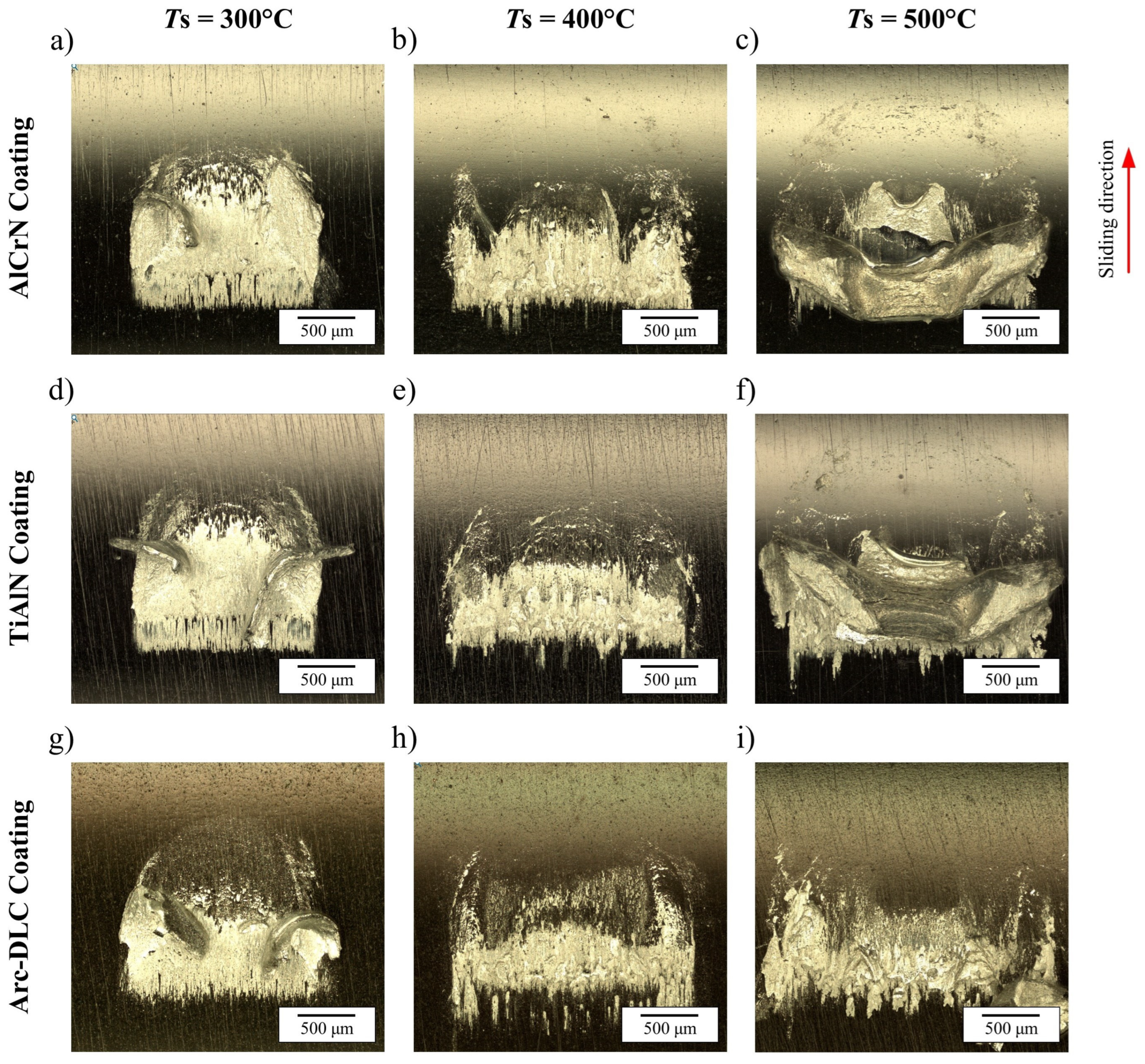 Lubricants 13 00430 g013