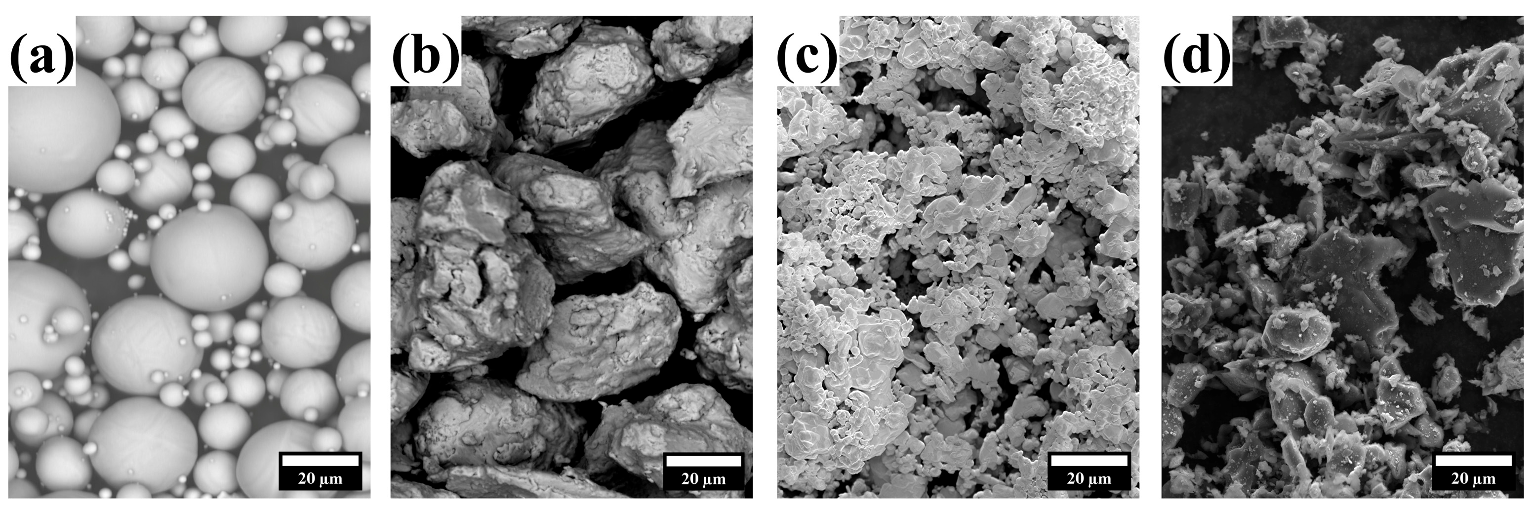 Lubricants 13 00431 g001