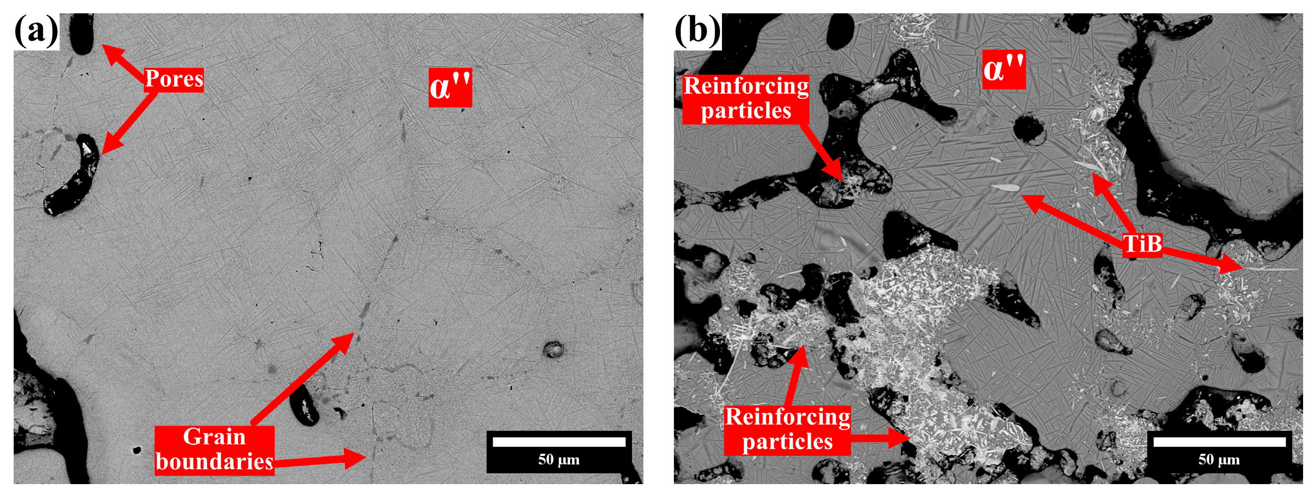 Lubricants 13 00431 g005