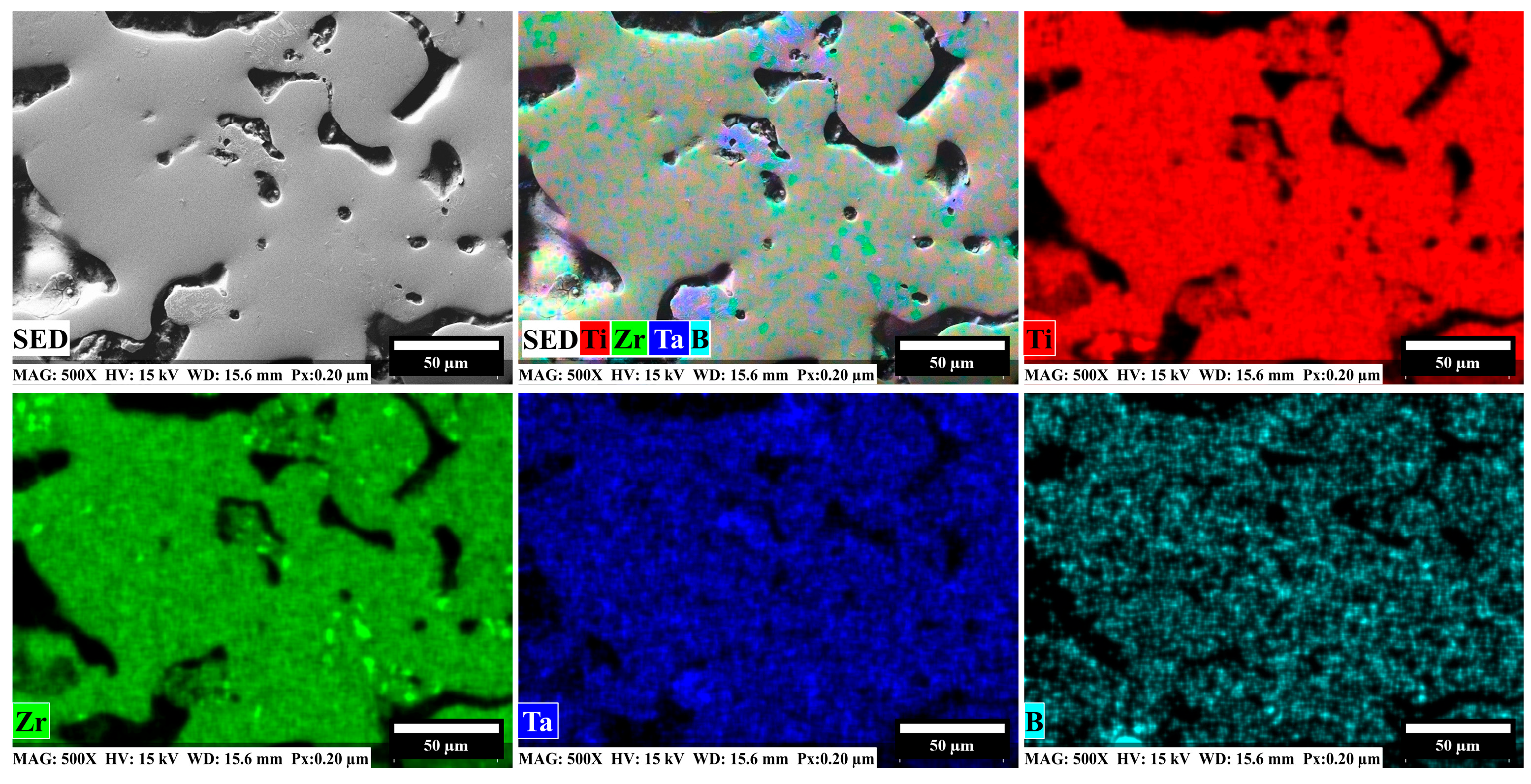 Lubricants 13 00431 g006