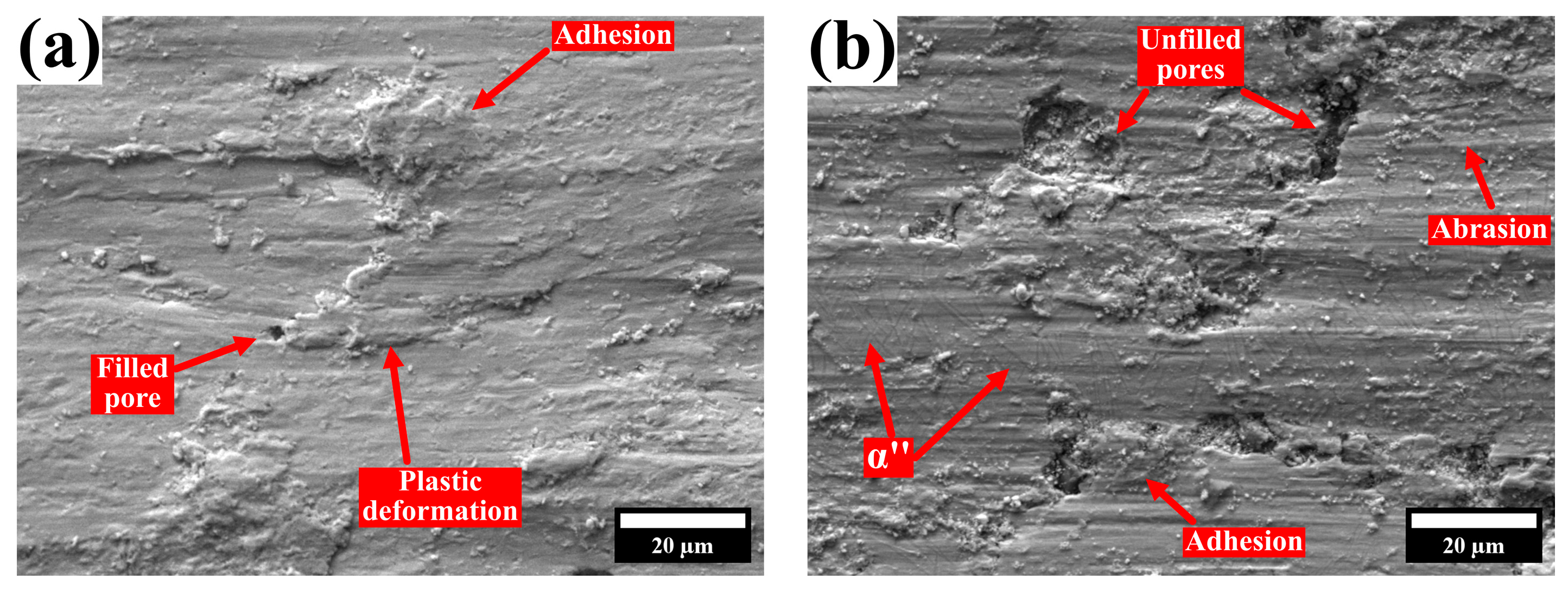 Lubricants 13 00431 g011