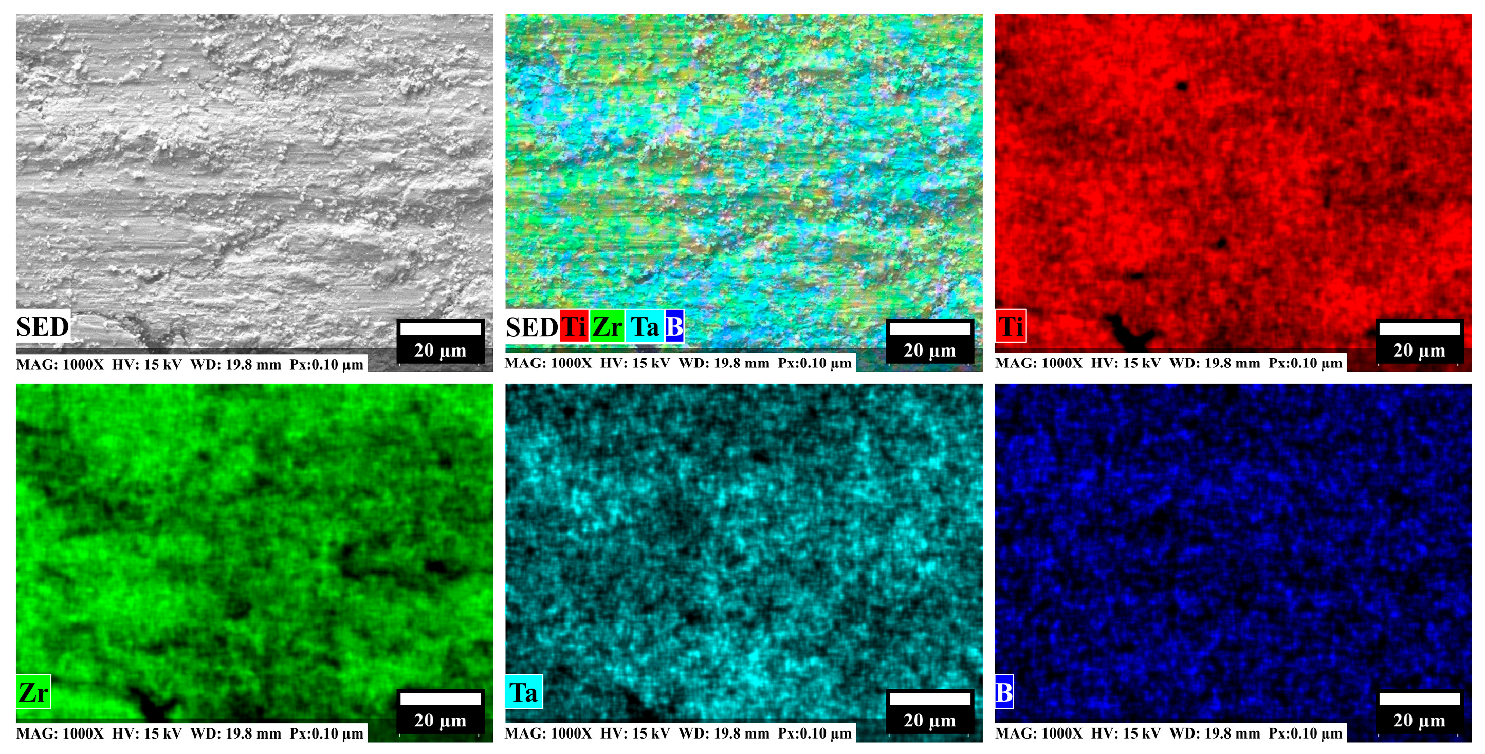 Lubricants 13 00431 g013