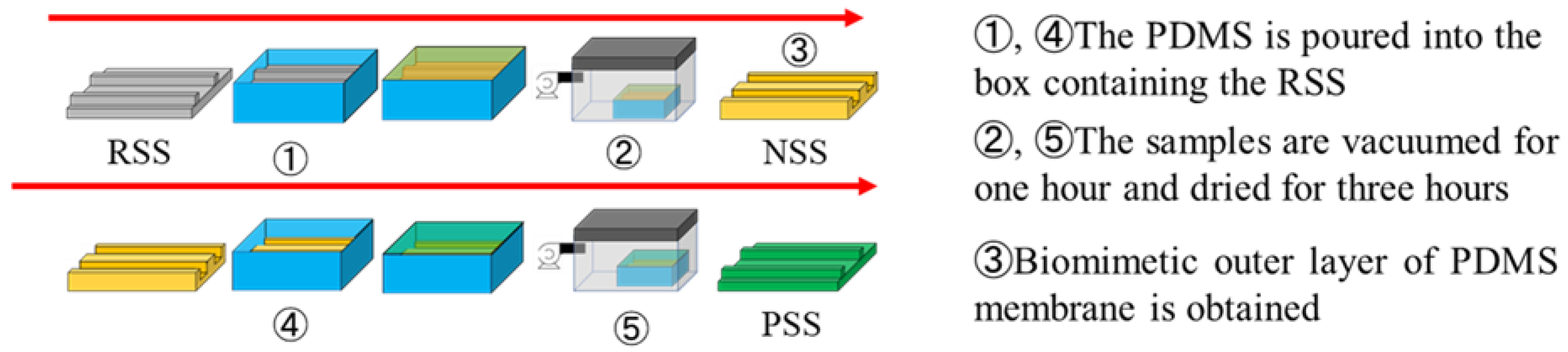 Lubricants 13 00432 g002