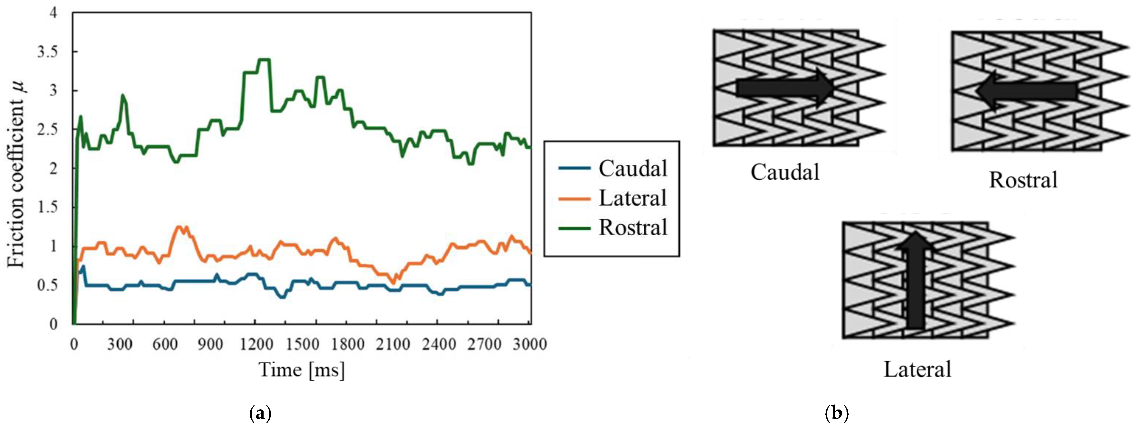 Lubricants 13 00432 g007