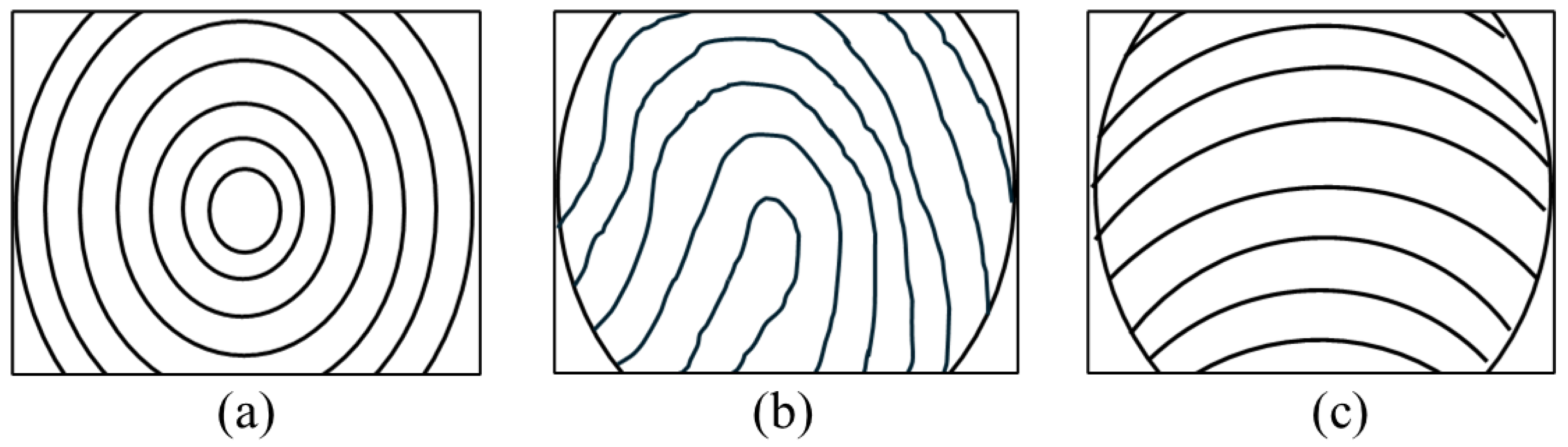 Lubricants 13 00432 g009
