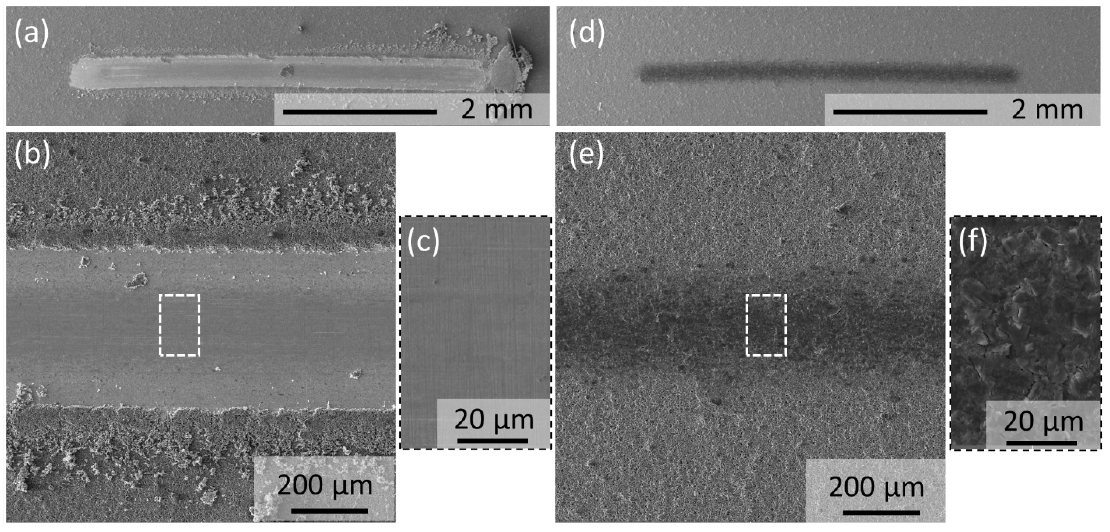 Lubricants 13 00433 g004
