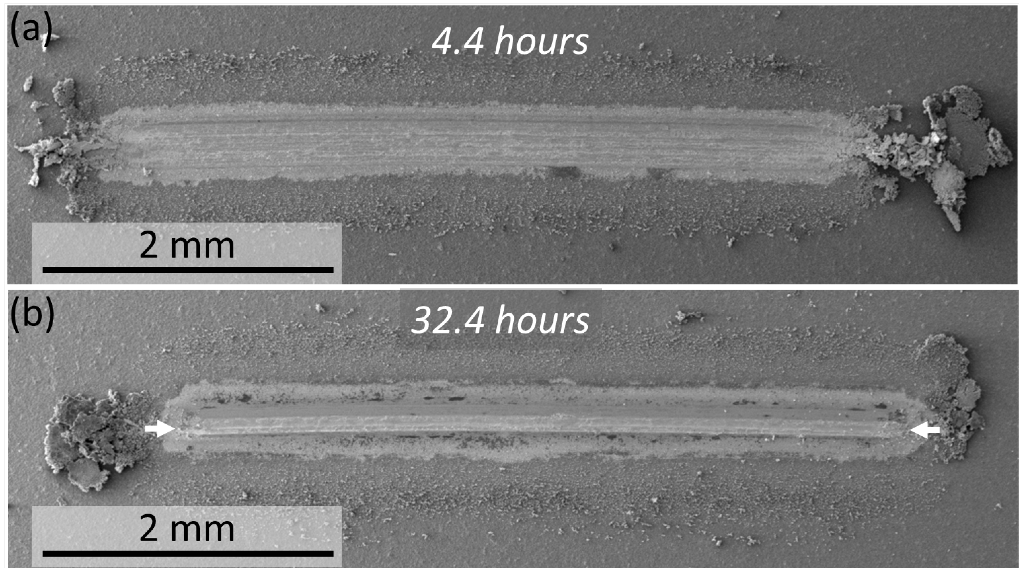 Lubricants 13 00433 g006