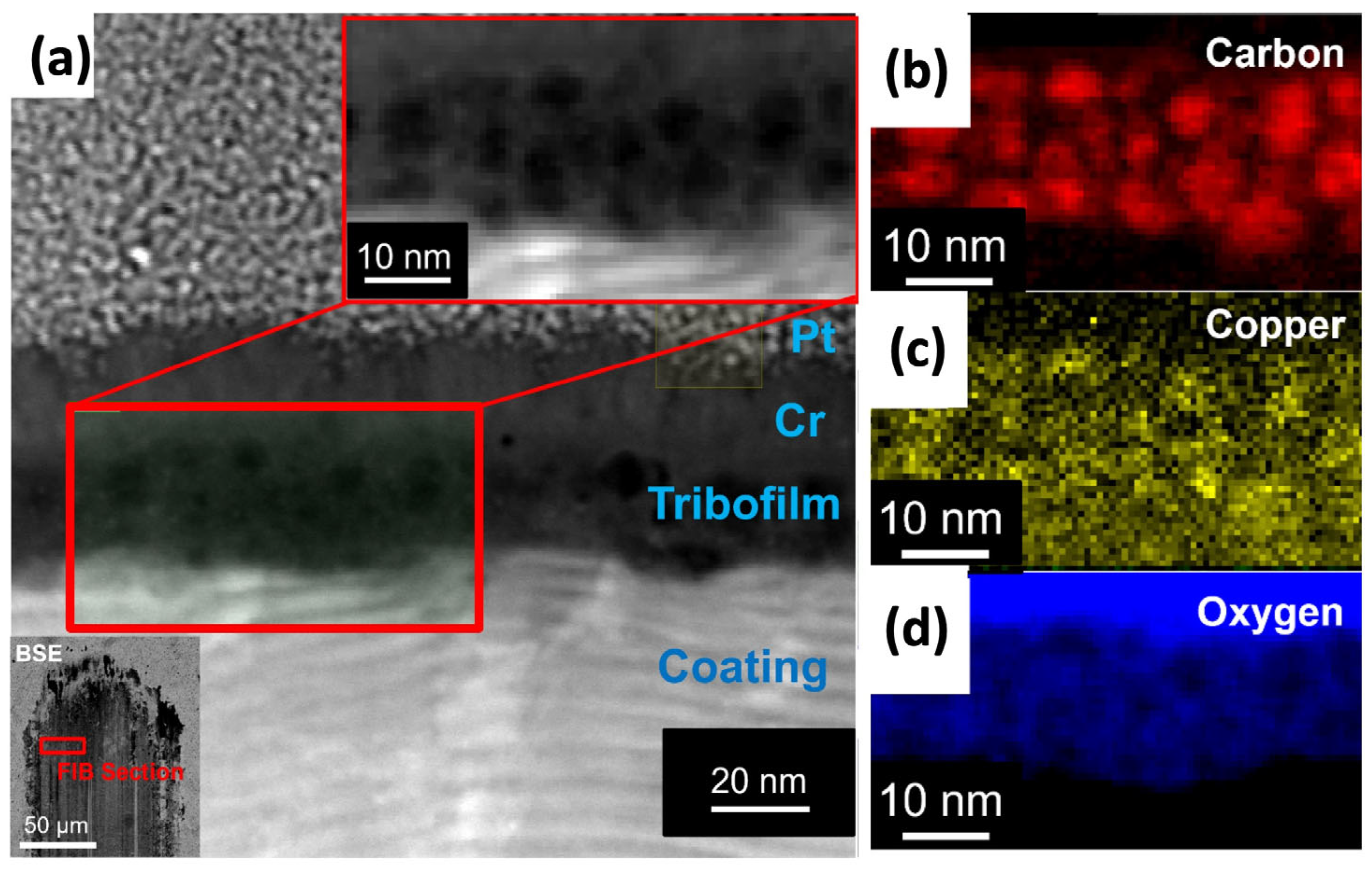 Lubricants 13 00442 g005