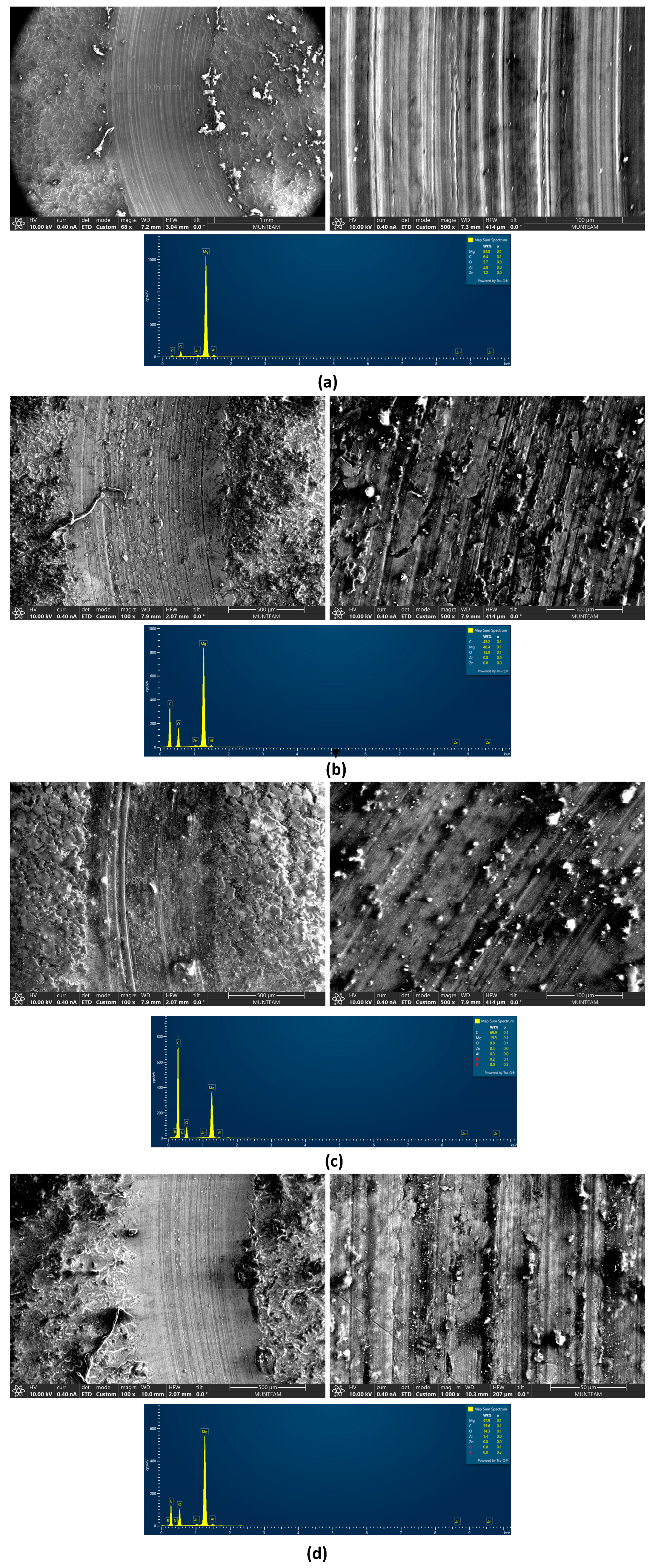 Lubricants 13 00443 g007