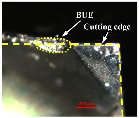 Lubricants 13 00444 g010