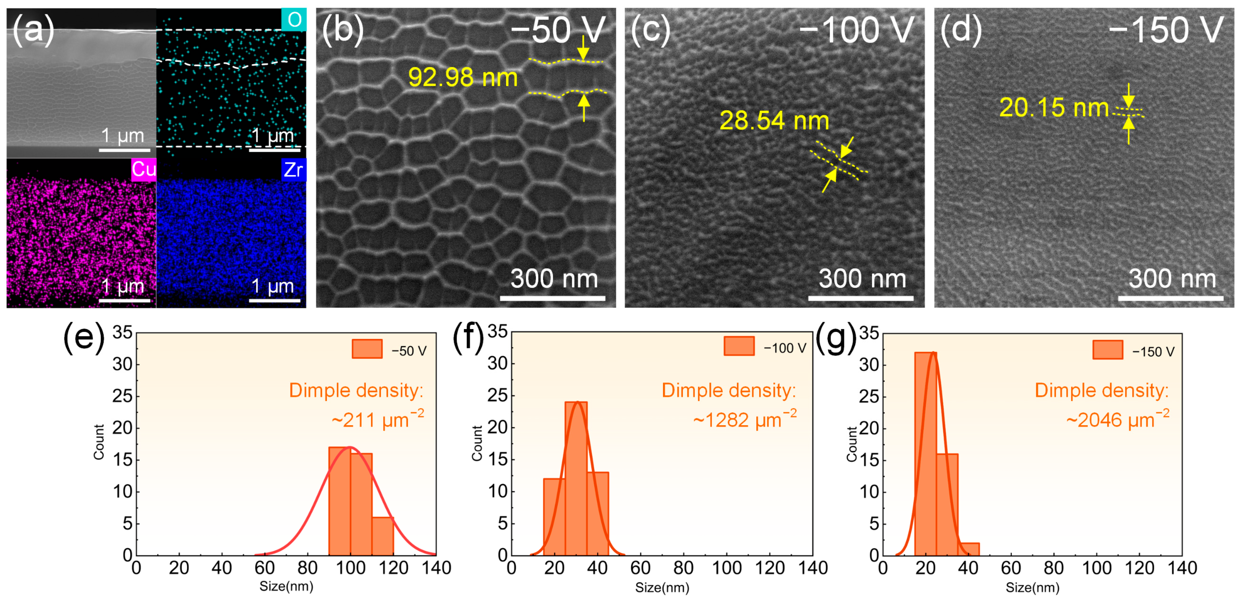 Lubricants 13 00447 g006 Lubricants 13 00447 g006