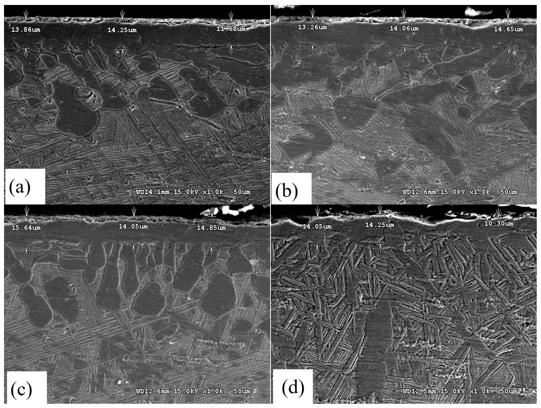 Lubricants 13 00449 g006