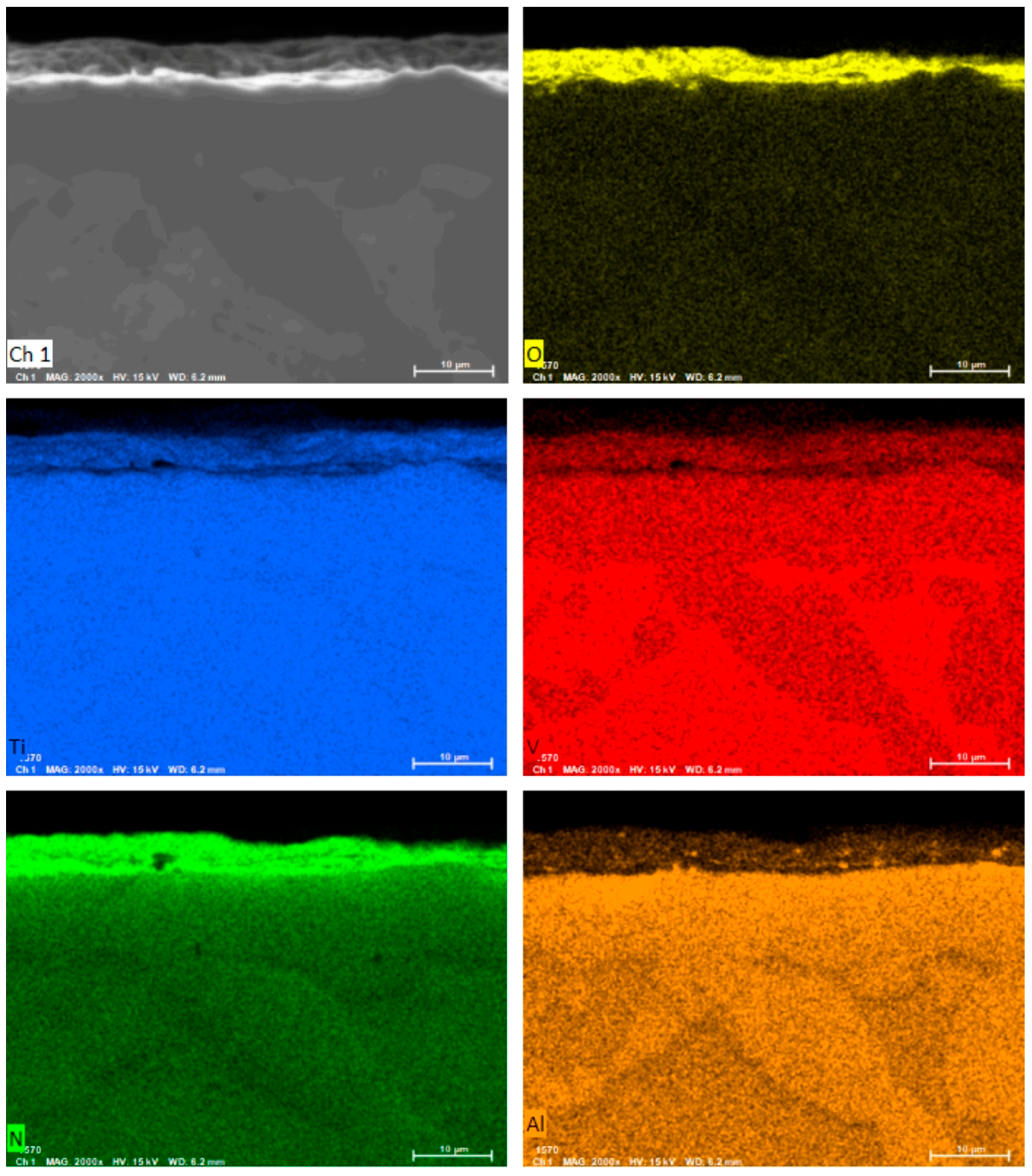 Lubricants 13 00449 g007