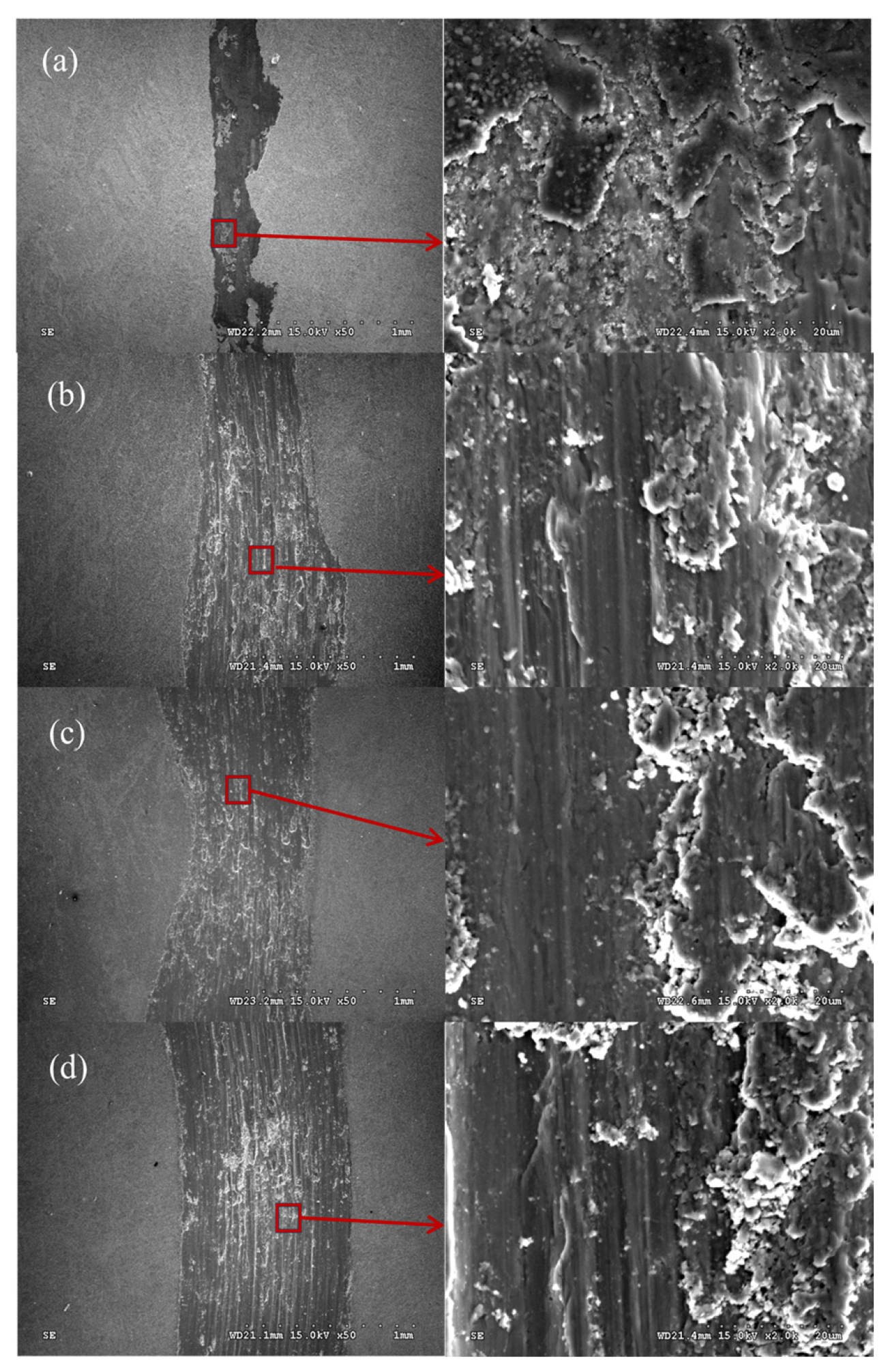 Lubricants 13 00449 g013
