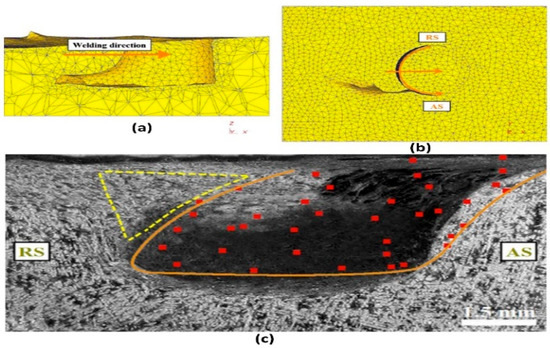 Lubricants 13 00450 g002