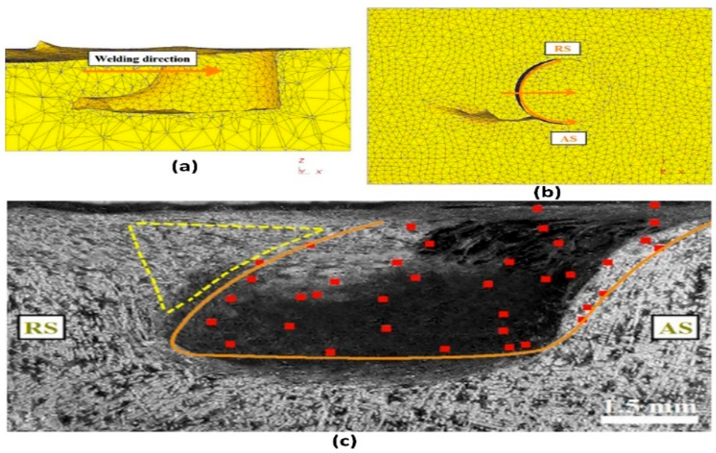 Lubricants 13 00450 g002