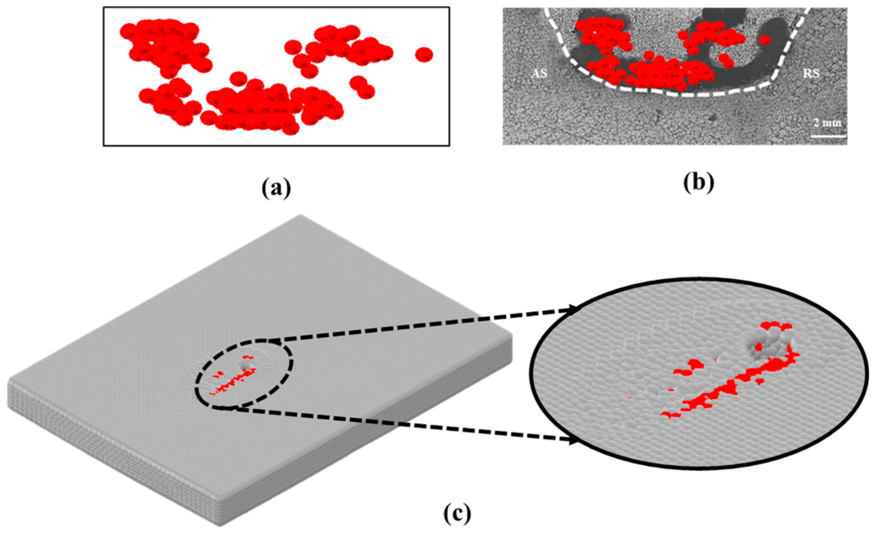 Lubricants 13 00450 g025