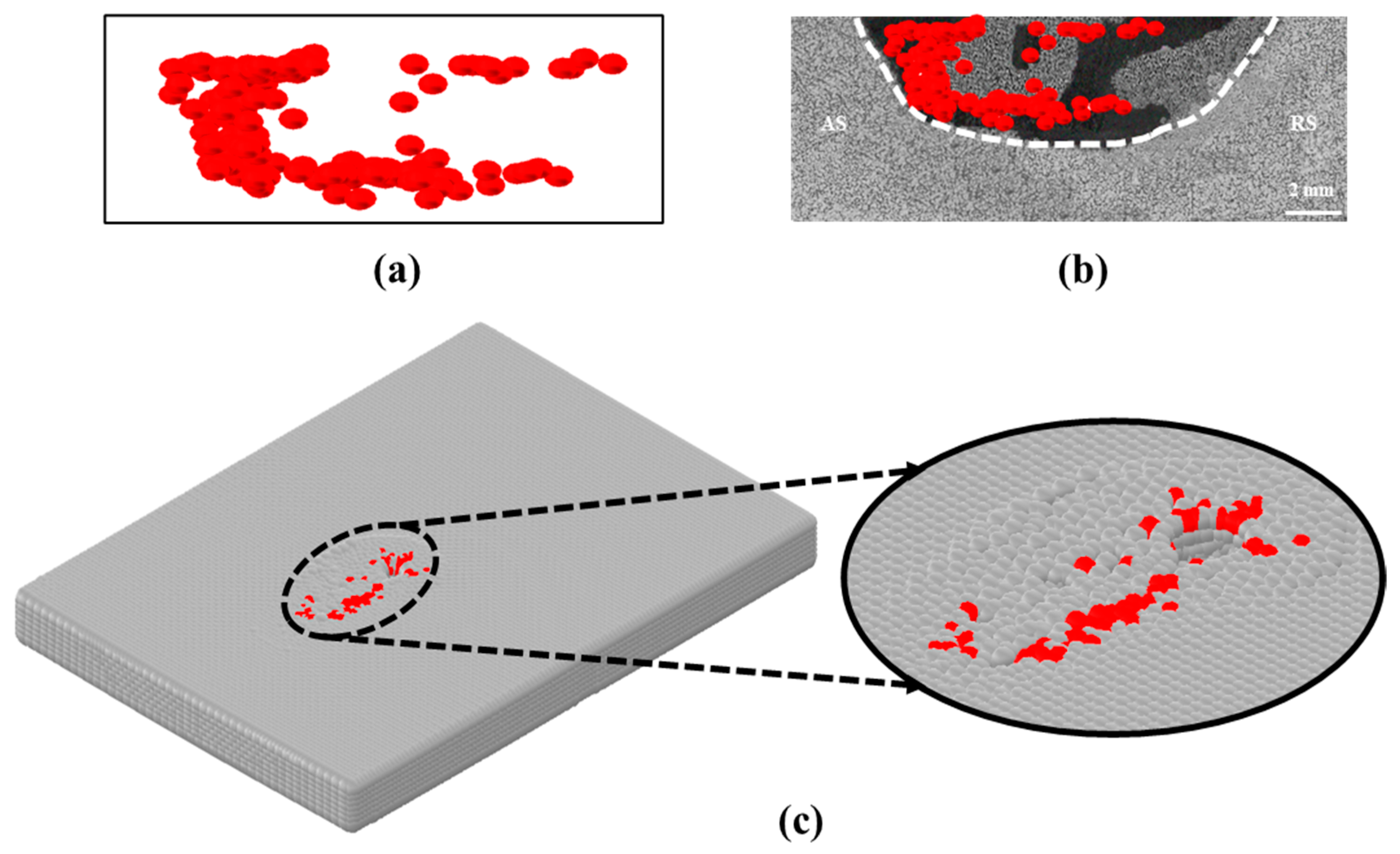 Lubricants 13 00450 g026