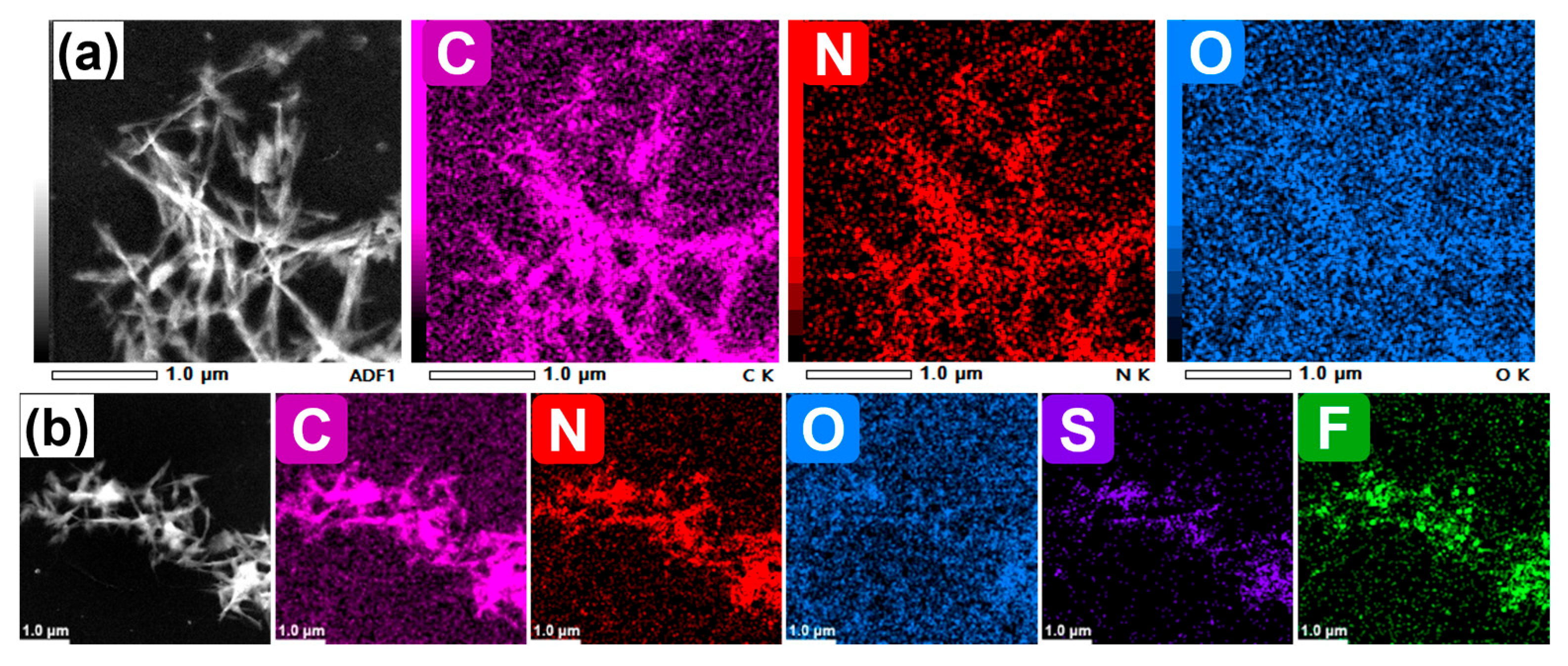 Lubricants 13 00452 g003