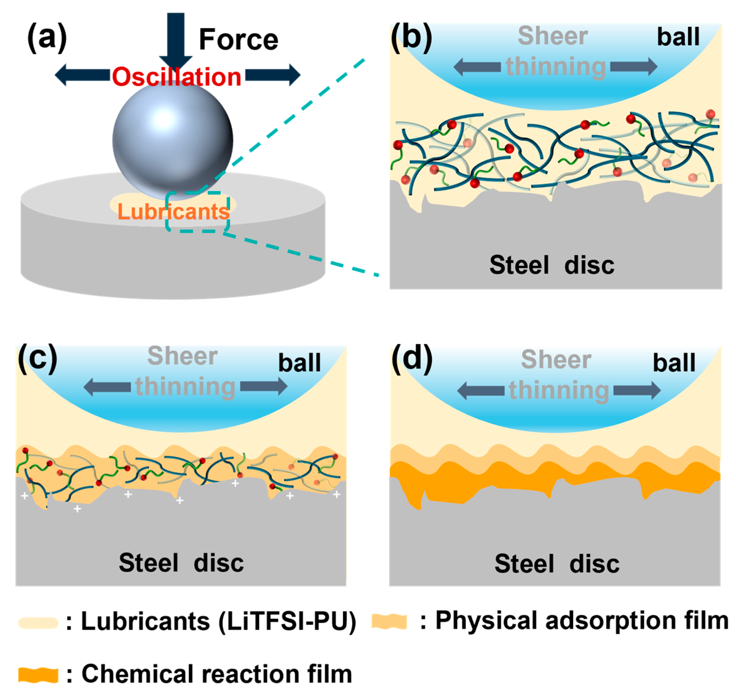 Lubricants 13 00452 g009