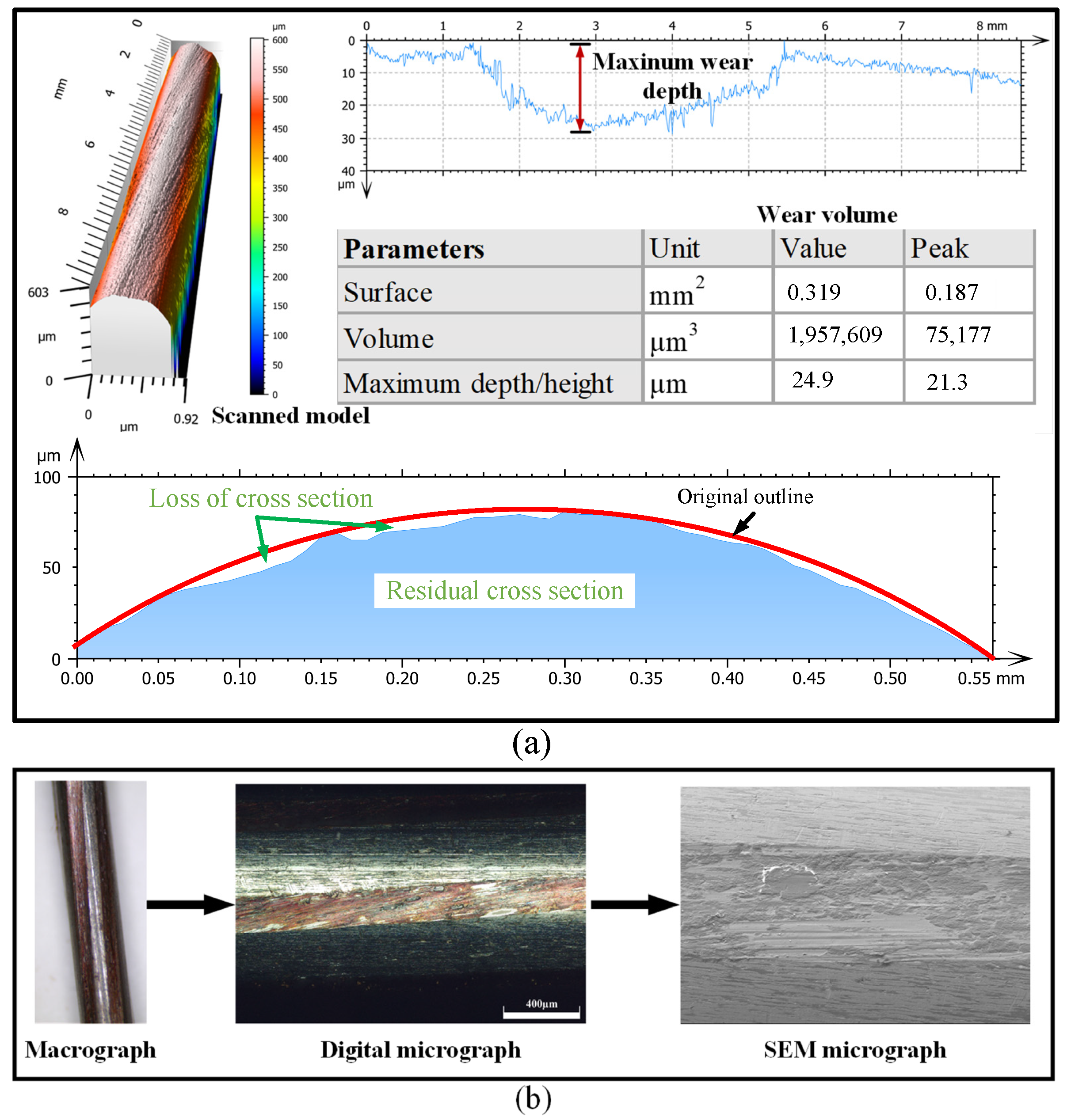Lubricants 13 00453 g005