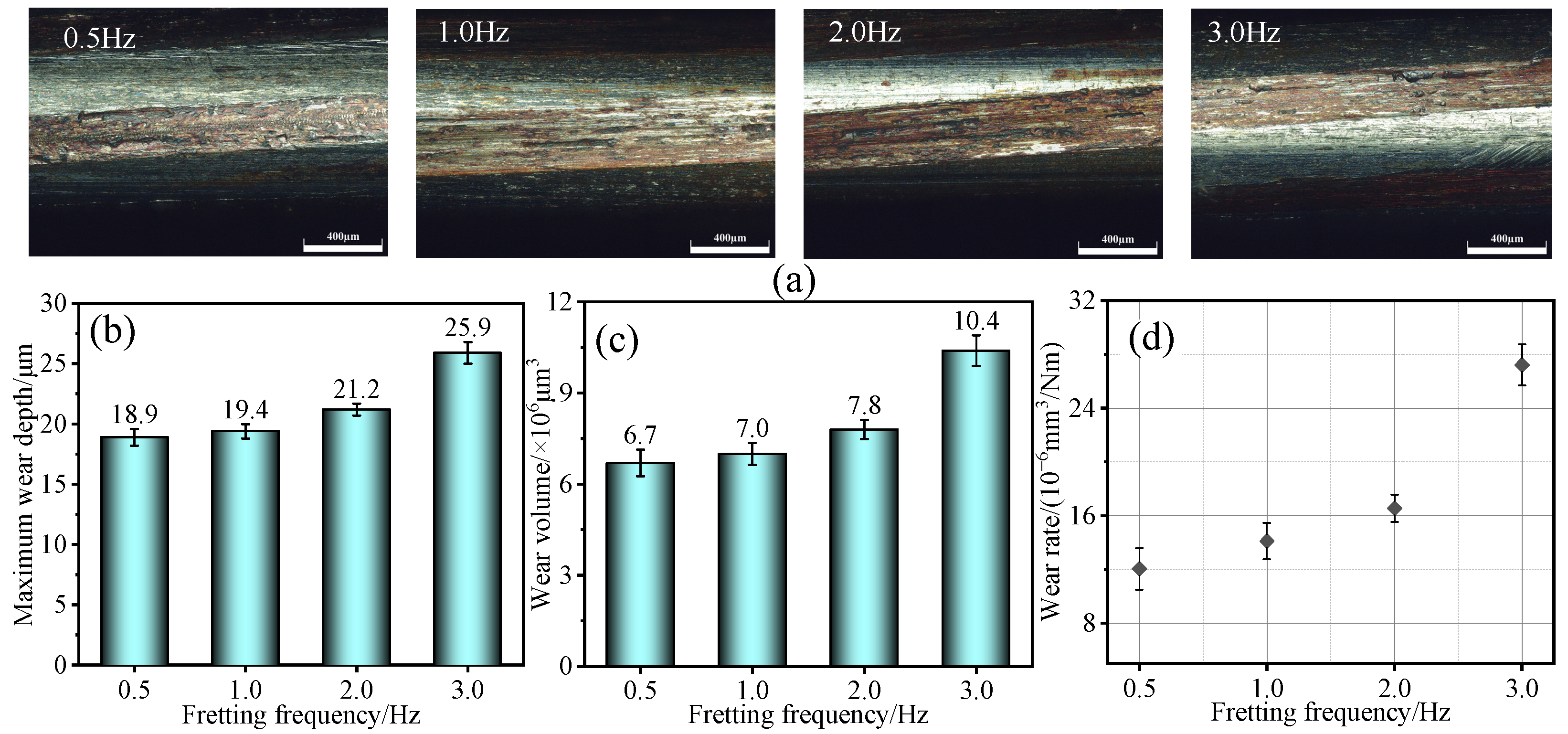 Lubricants 13 00453 g010