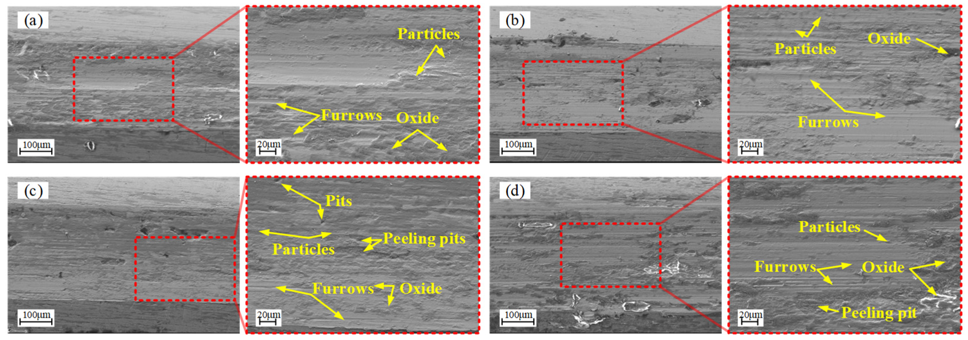Lubricants 13 00453 g012