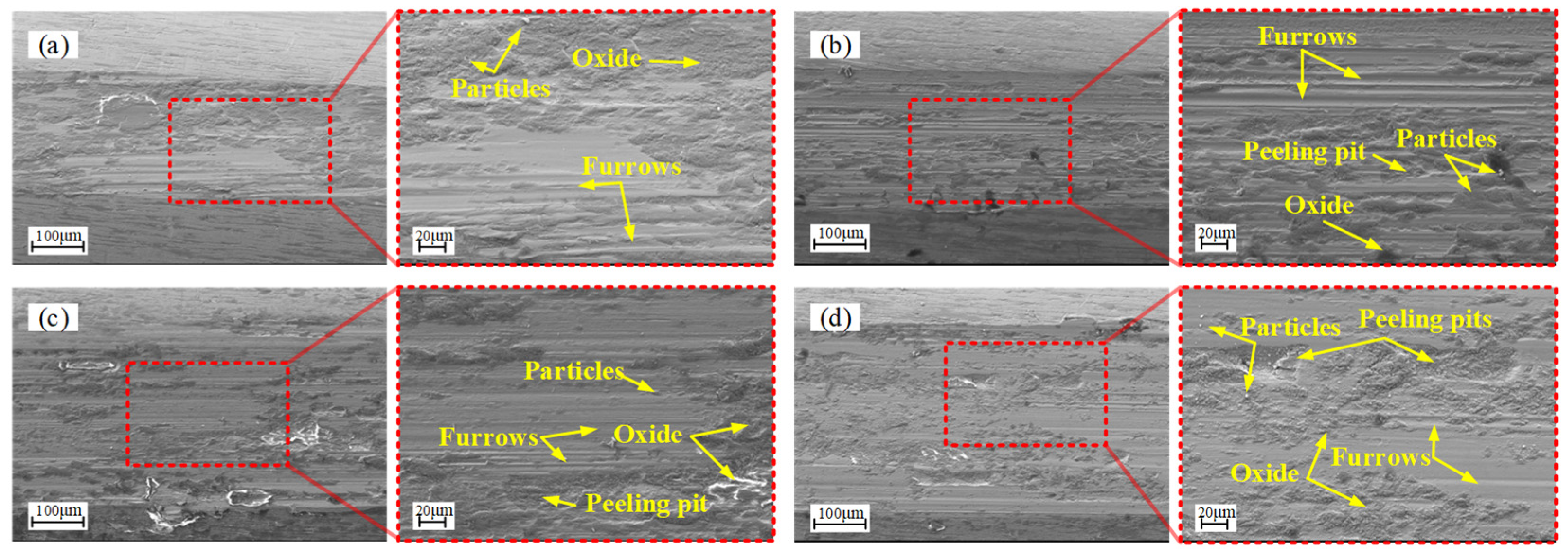 Lubricants 13 00453 g013