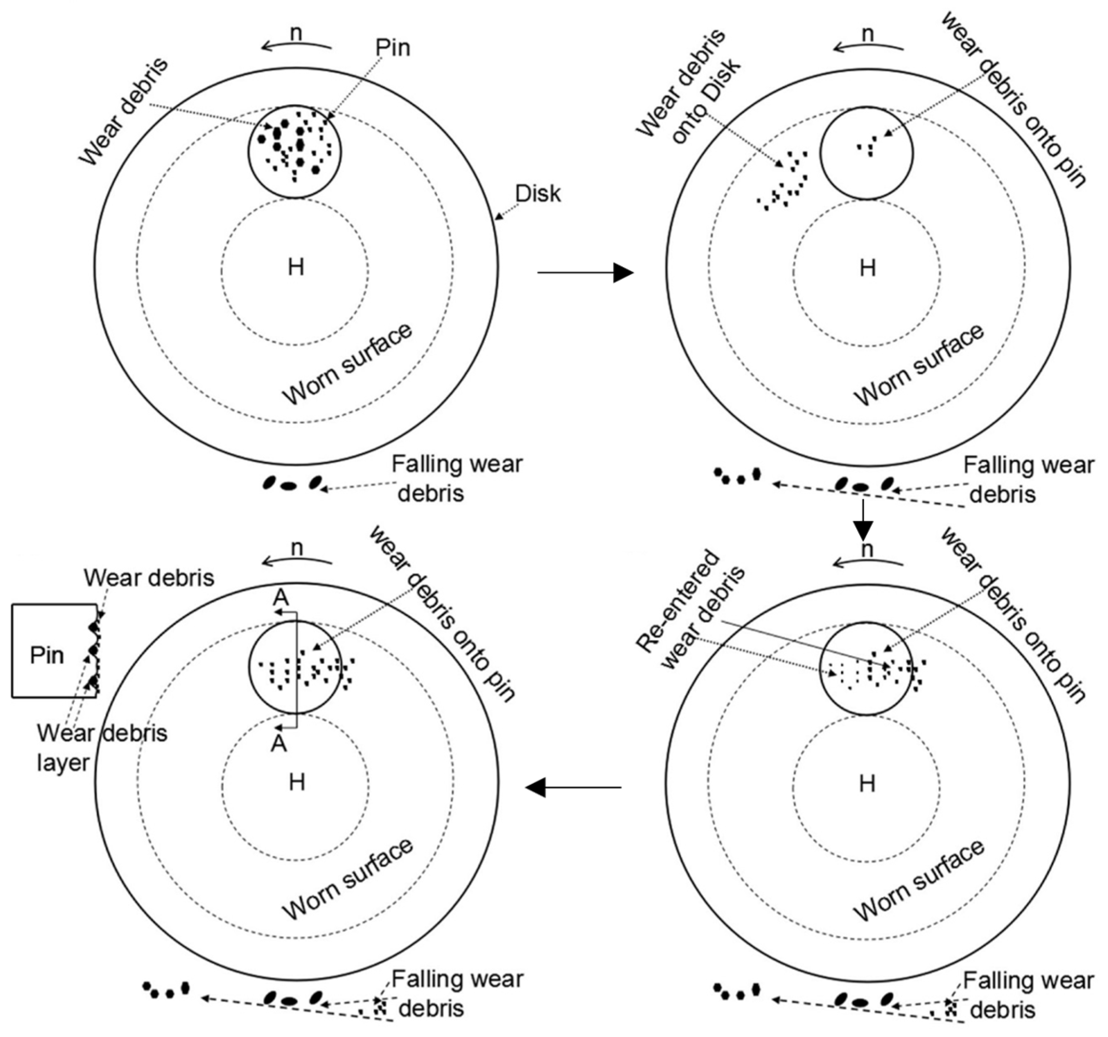 Lubricants 13 00454 g004