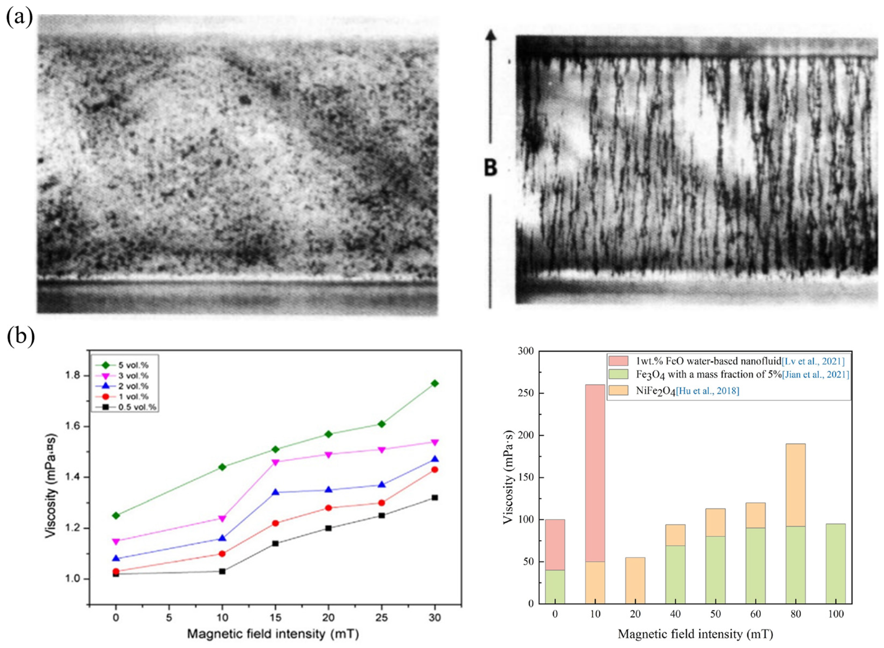 Lubricants 13 00454 g005