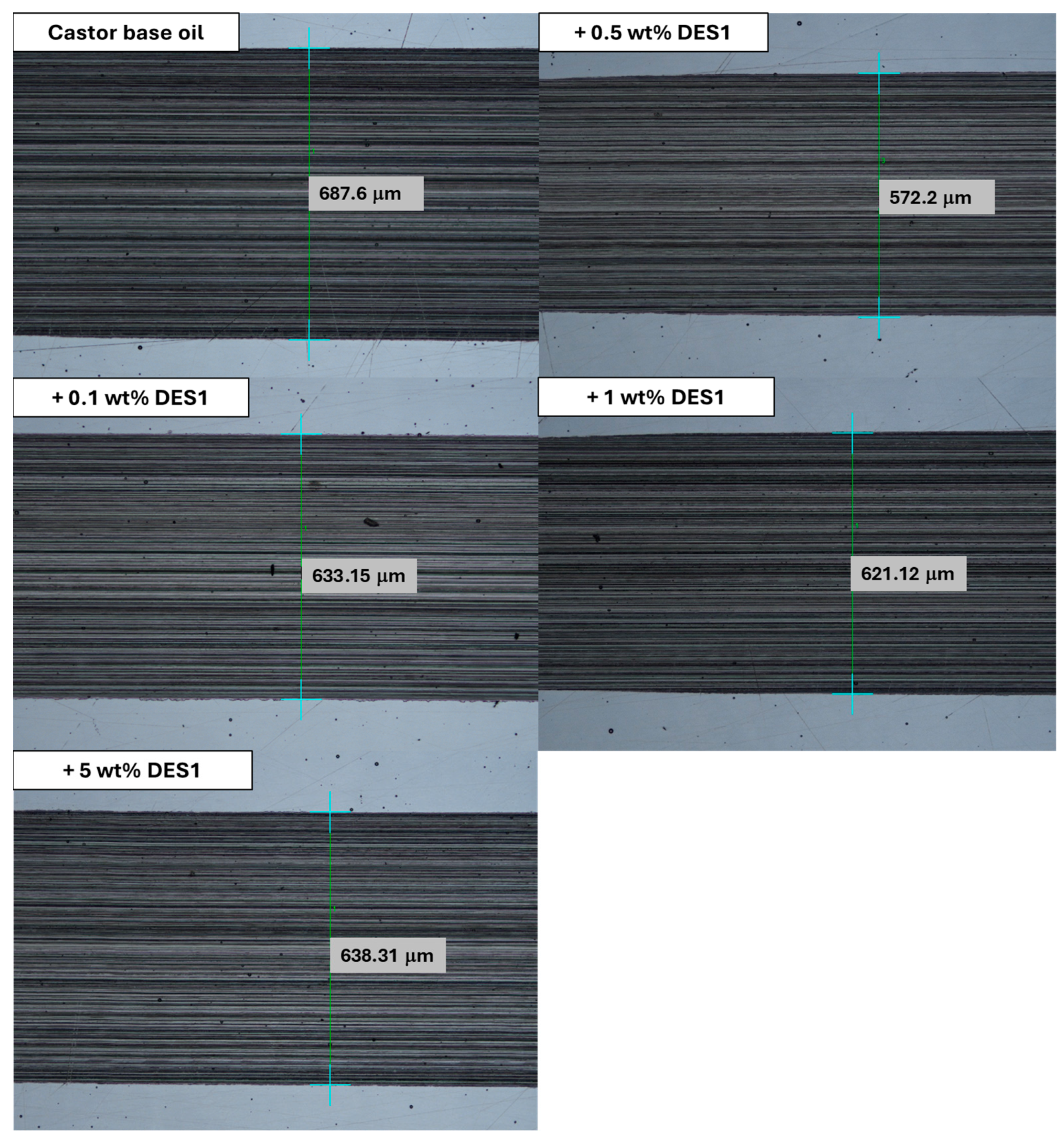 Lubricants 13 00456 g007
