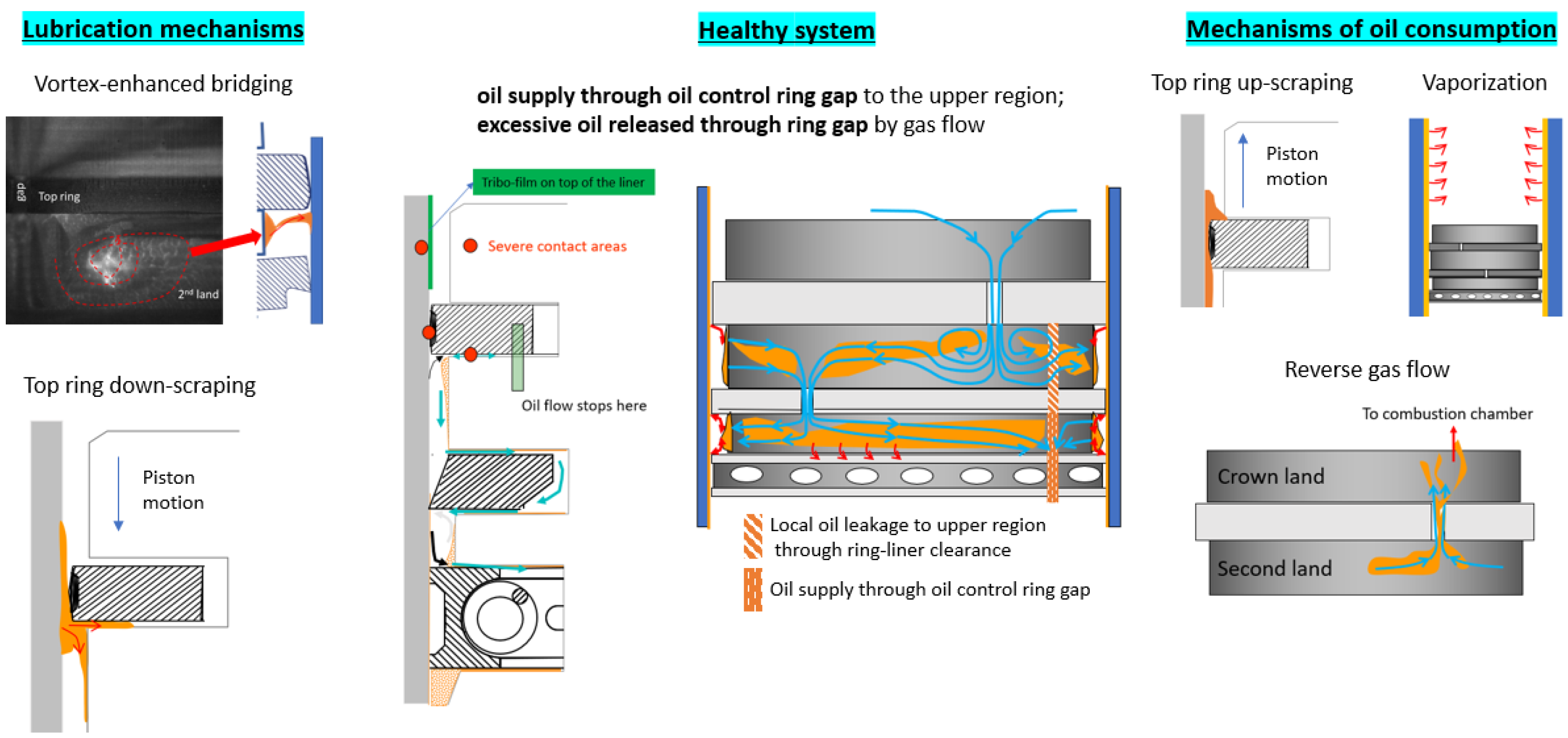 Lubricants 13 00463 g003 Lubricants 13 00463 g003