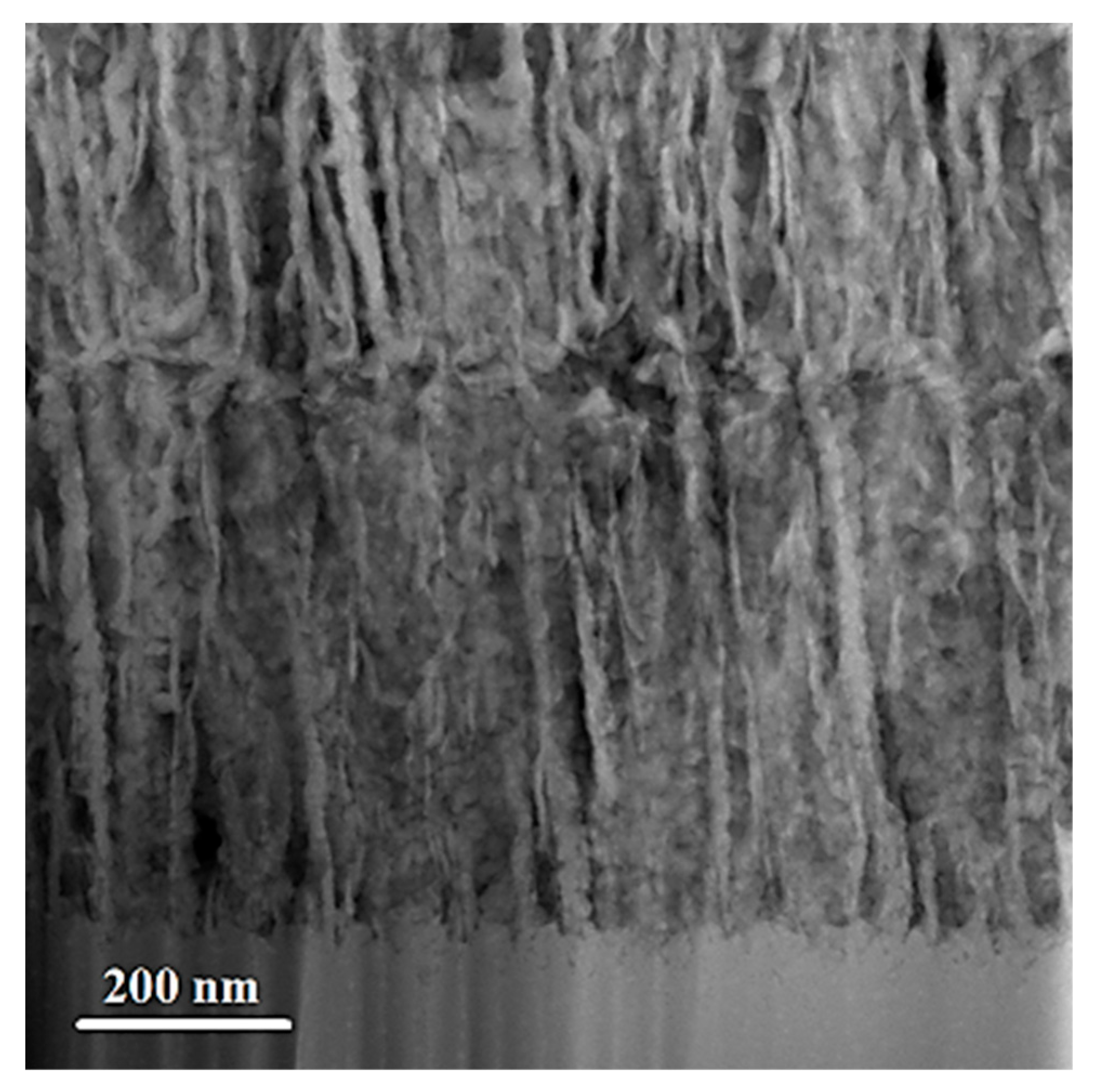 Lubricants 13 00467 g002