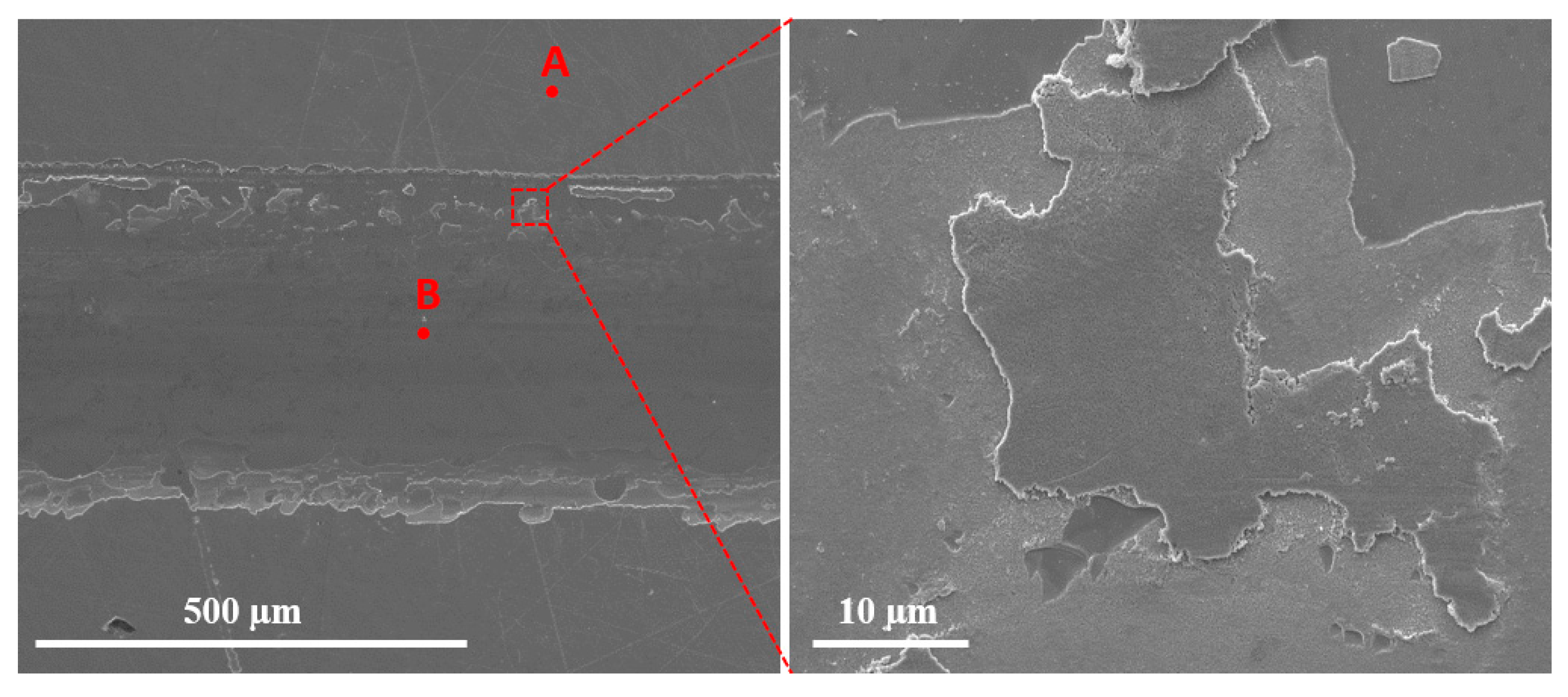 Lubricants 13 00467 g006