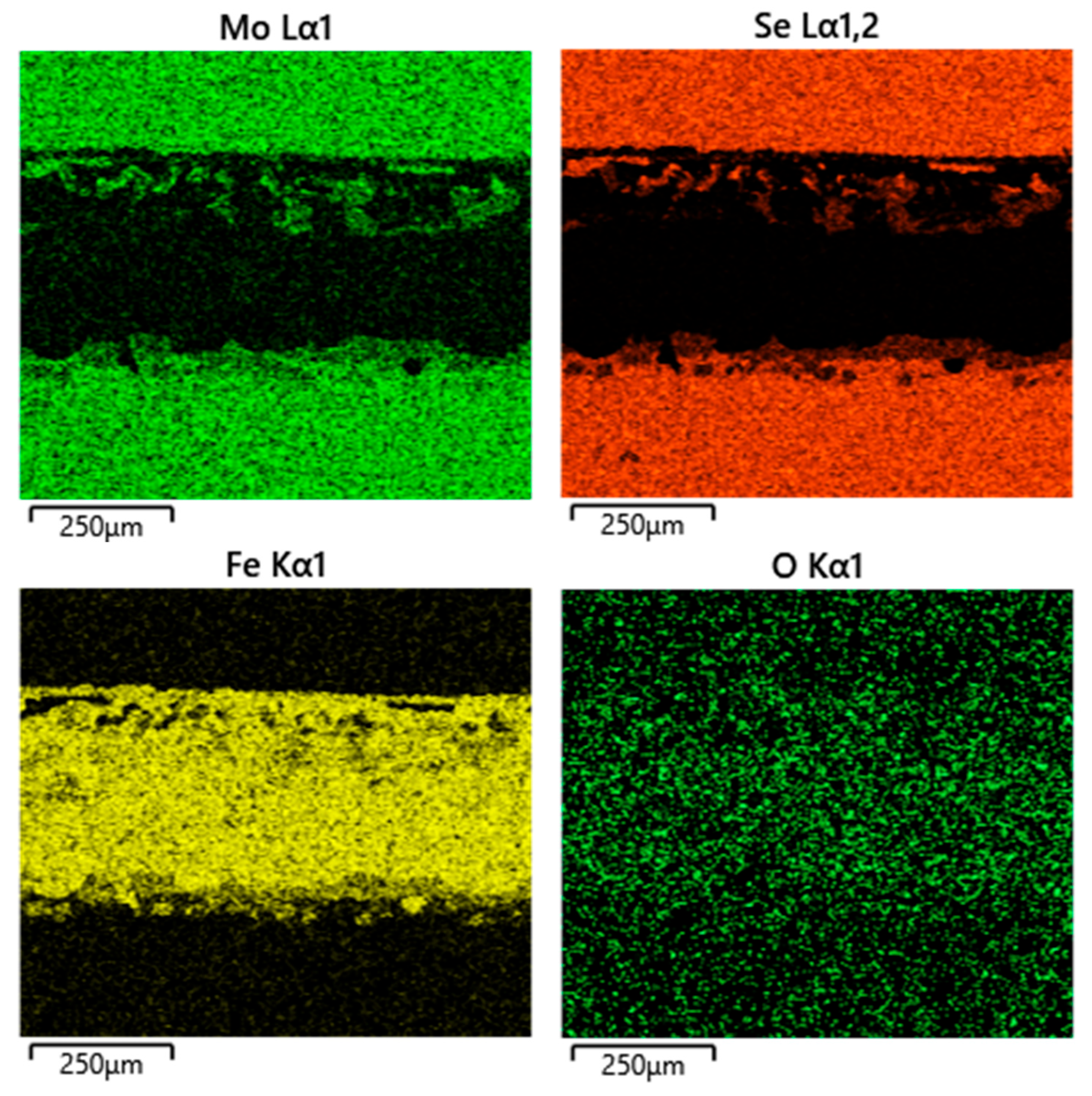 Lubricants 13 00467 g007