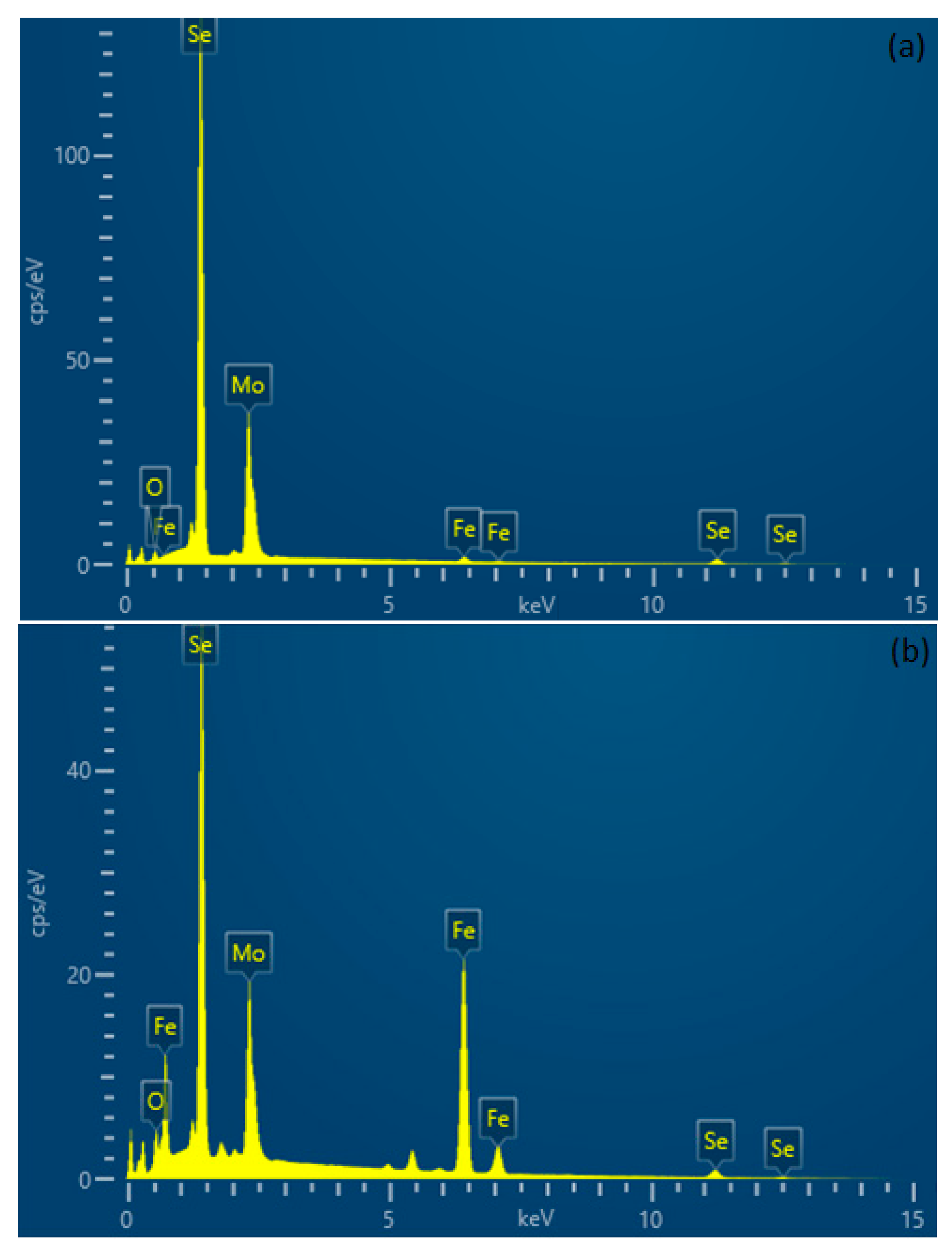 Lubricants 13 00467 g008