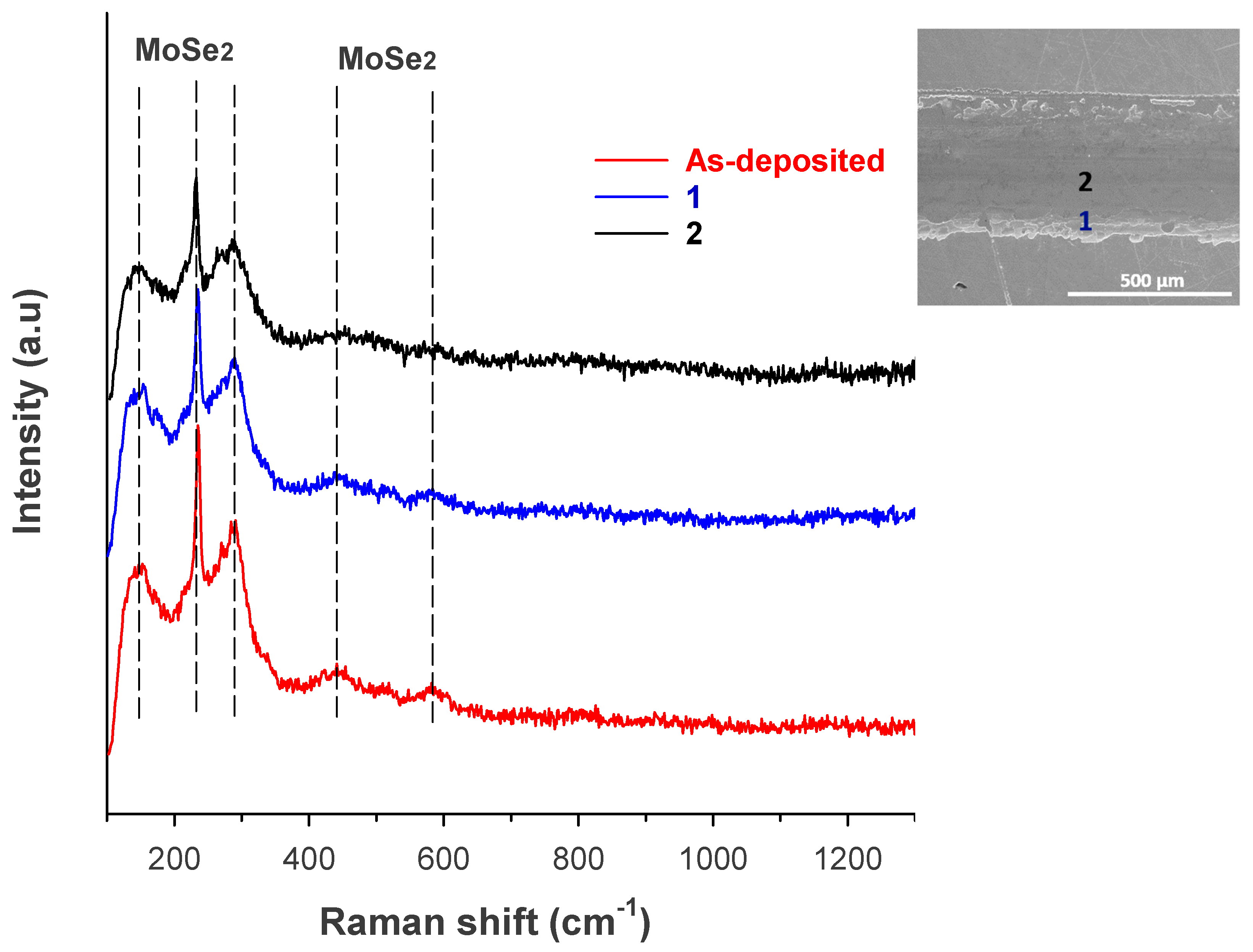 Lubricants 13 00467 g009