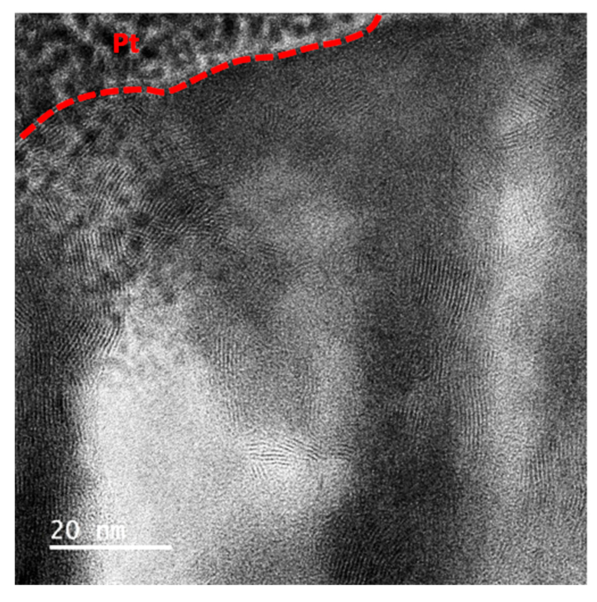 Lubricants 13 00467 g010