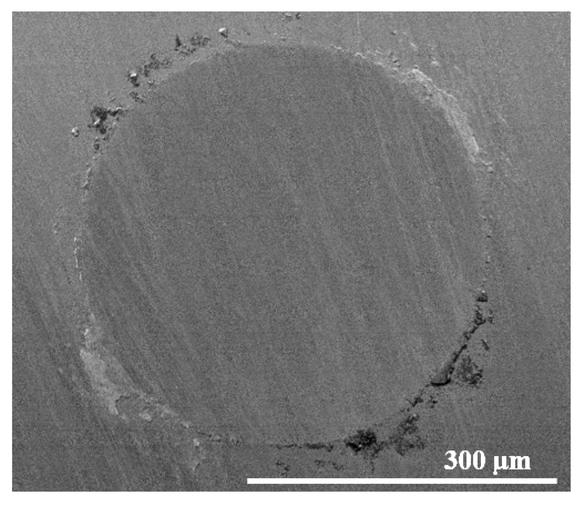 Lubricants 13 00467 g011