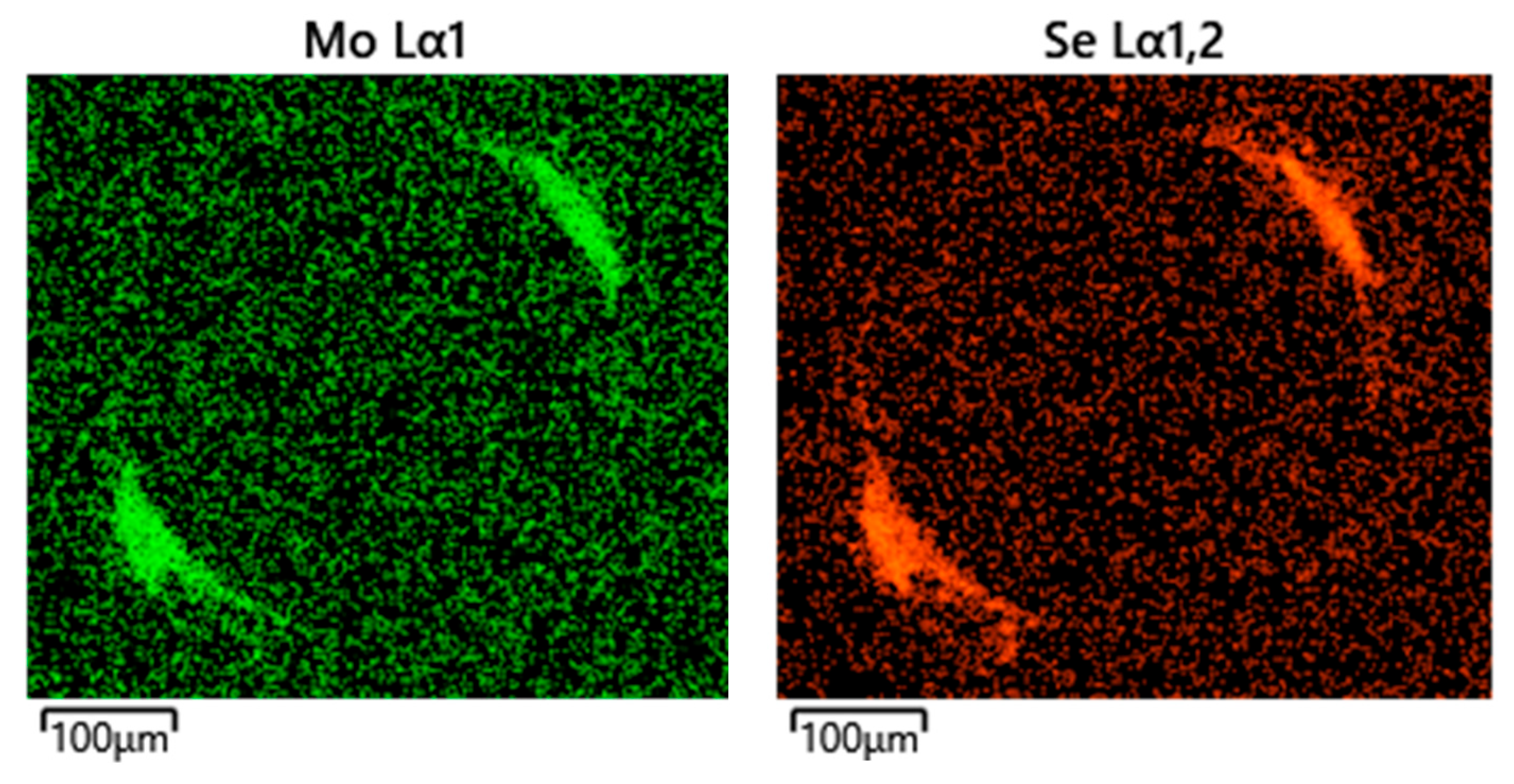 Lubricants 13 00467 g012a
