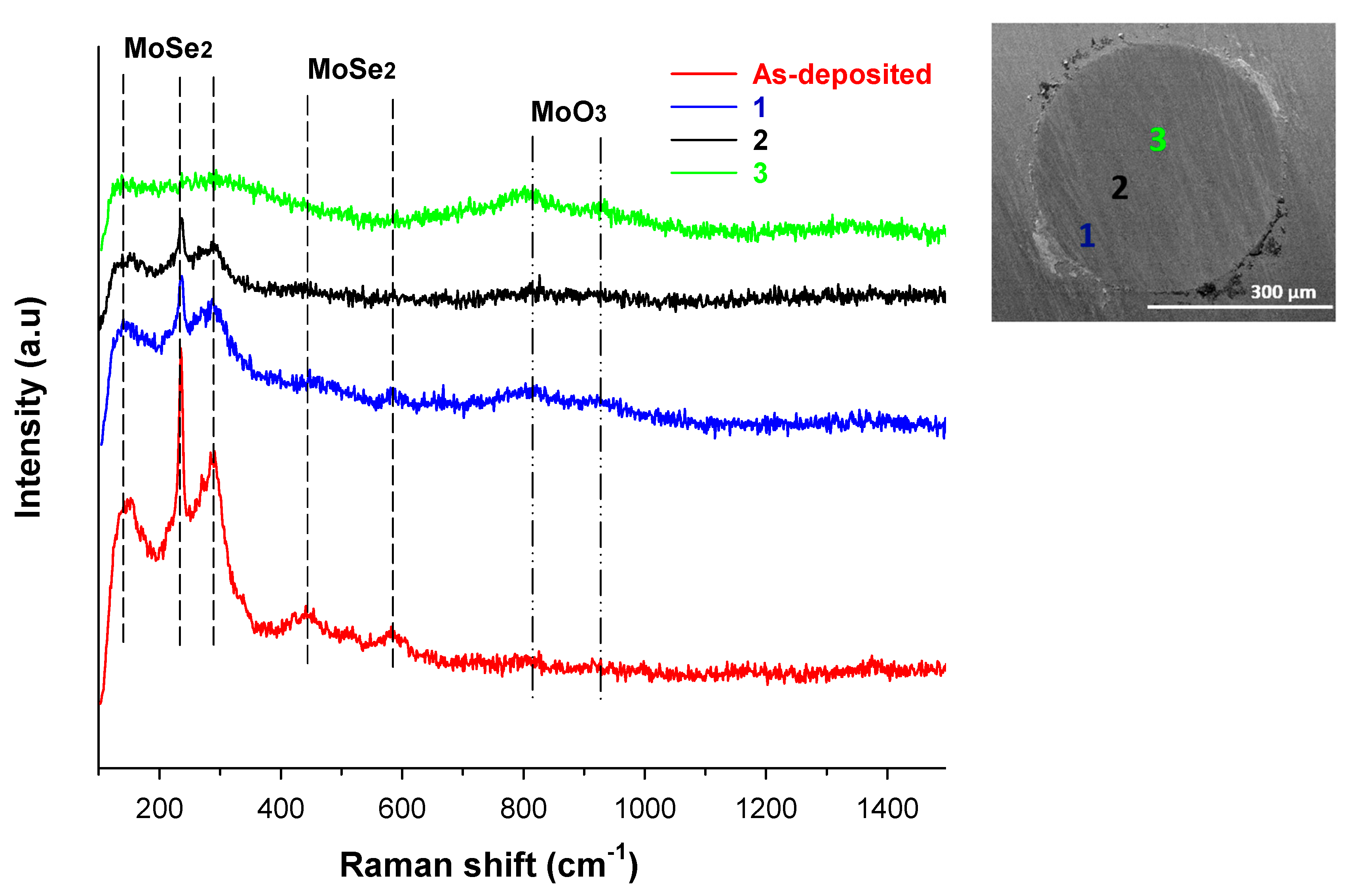 Lubricants 13 00467 g013