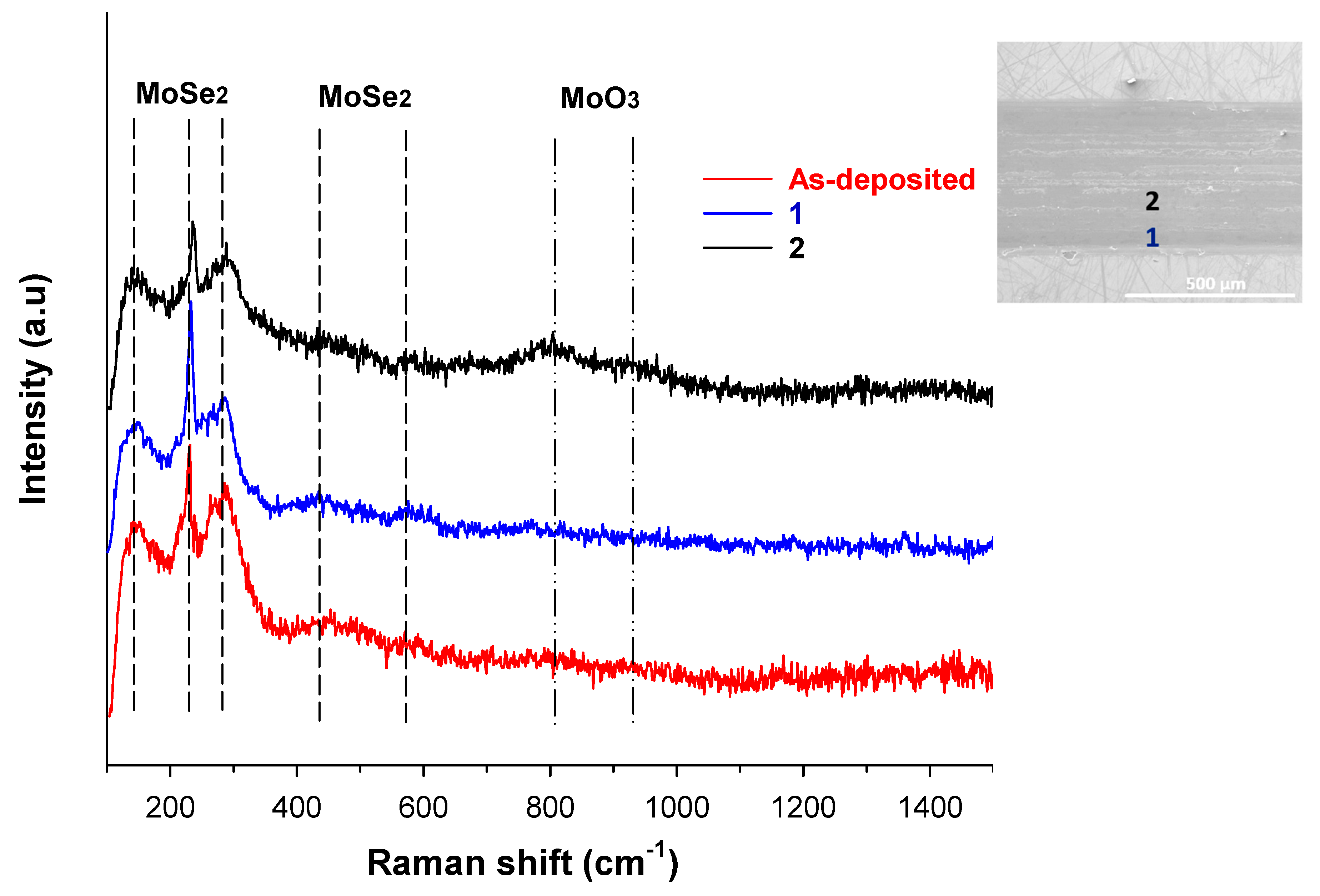 Lubricants 13 00467 g017