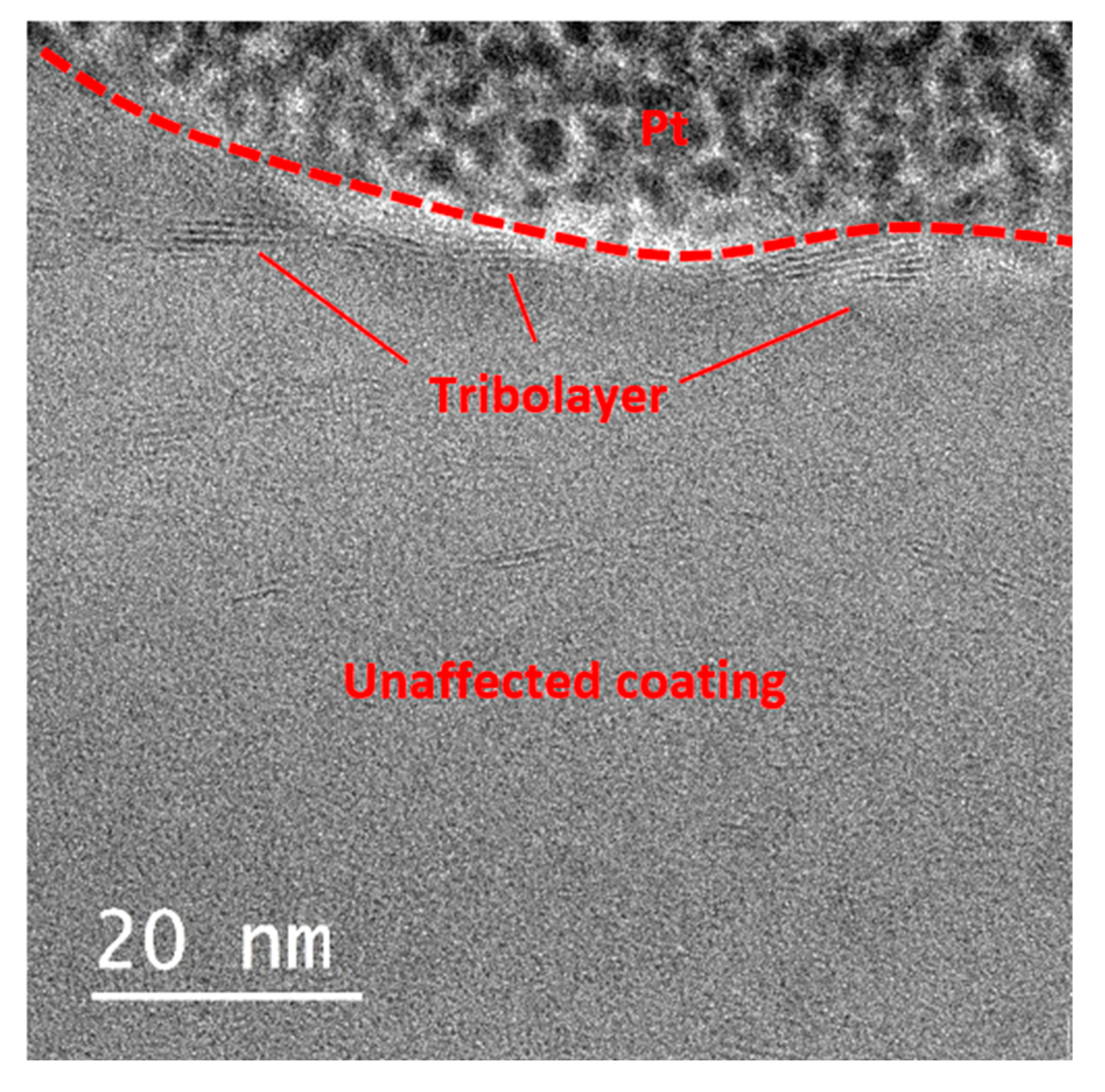 Lubricants 13 00467 g018