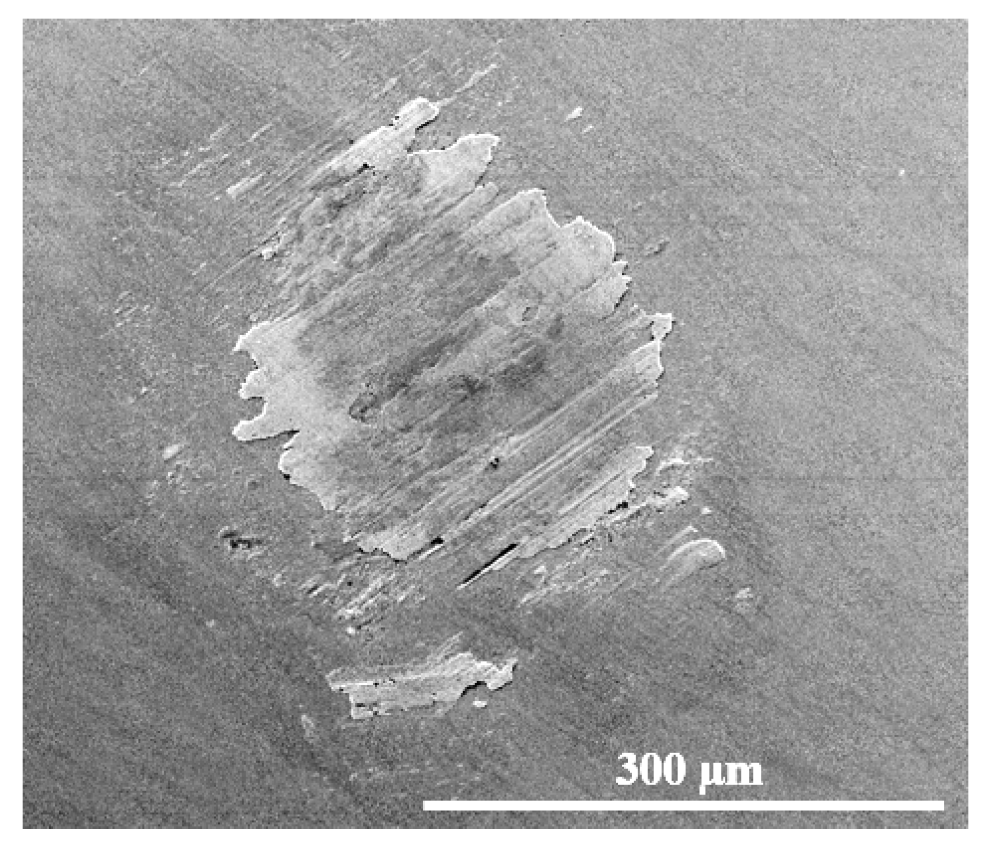 Lubricants 13 00467 g019