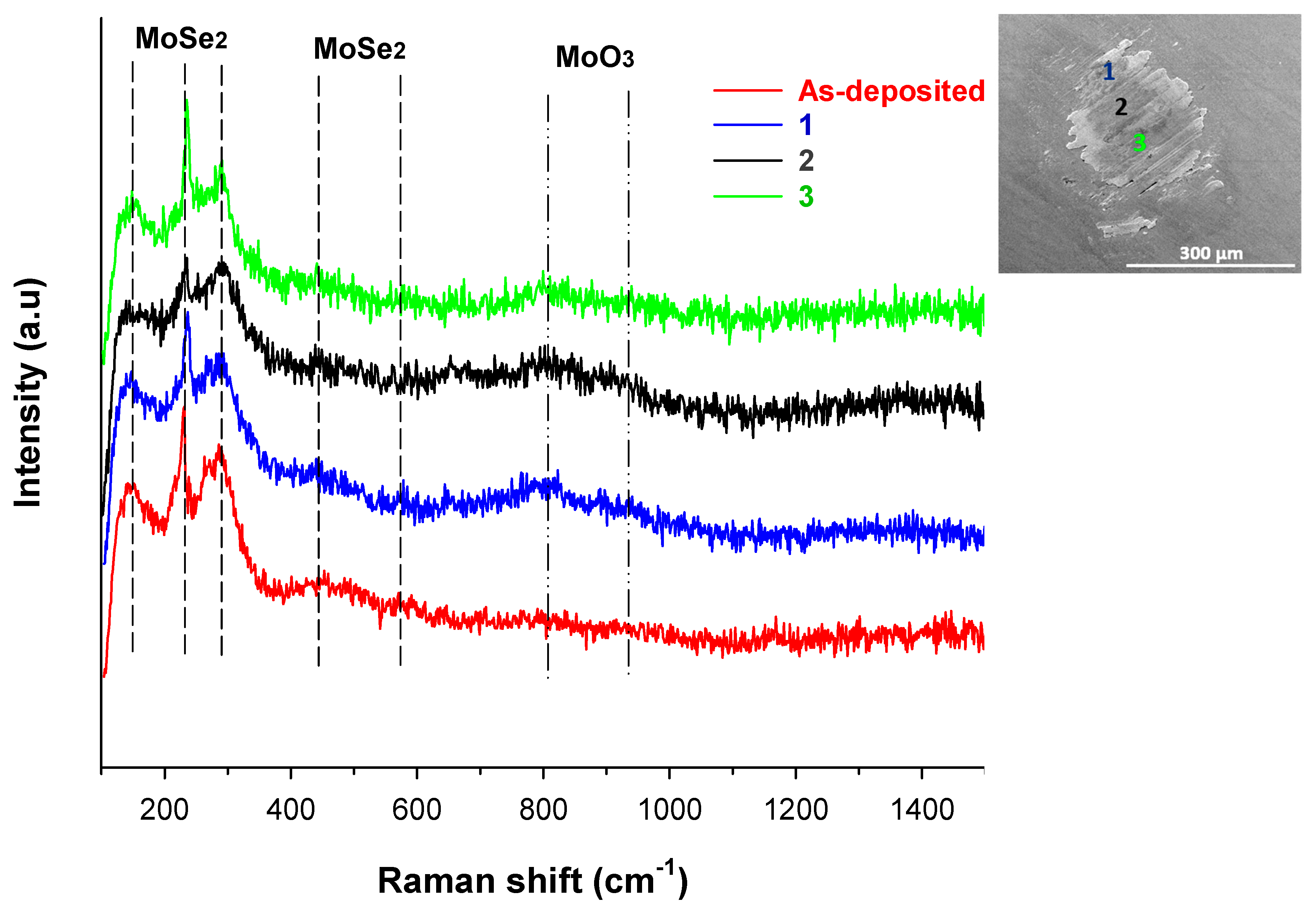 Lubricants 13 00467 g021